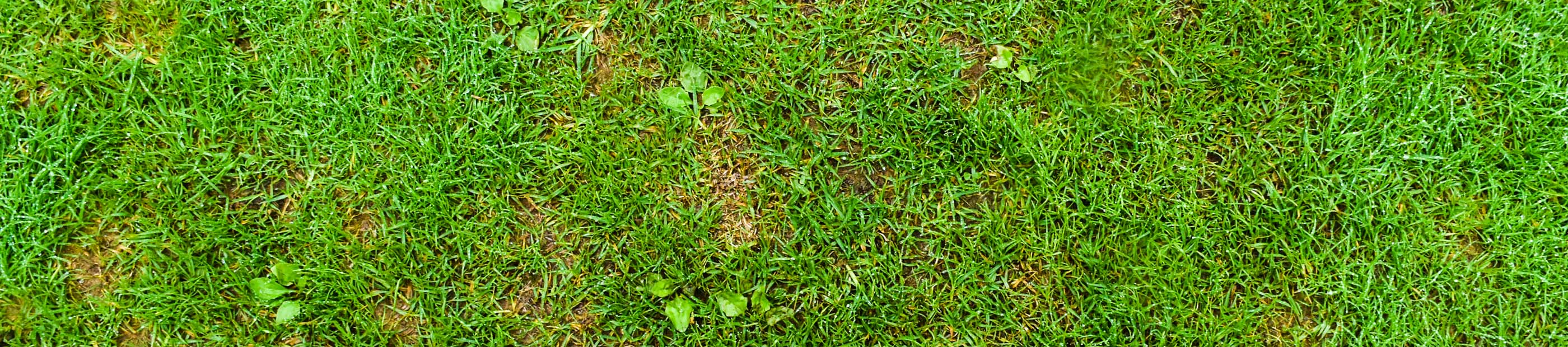 banner-kategorien