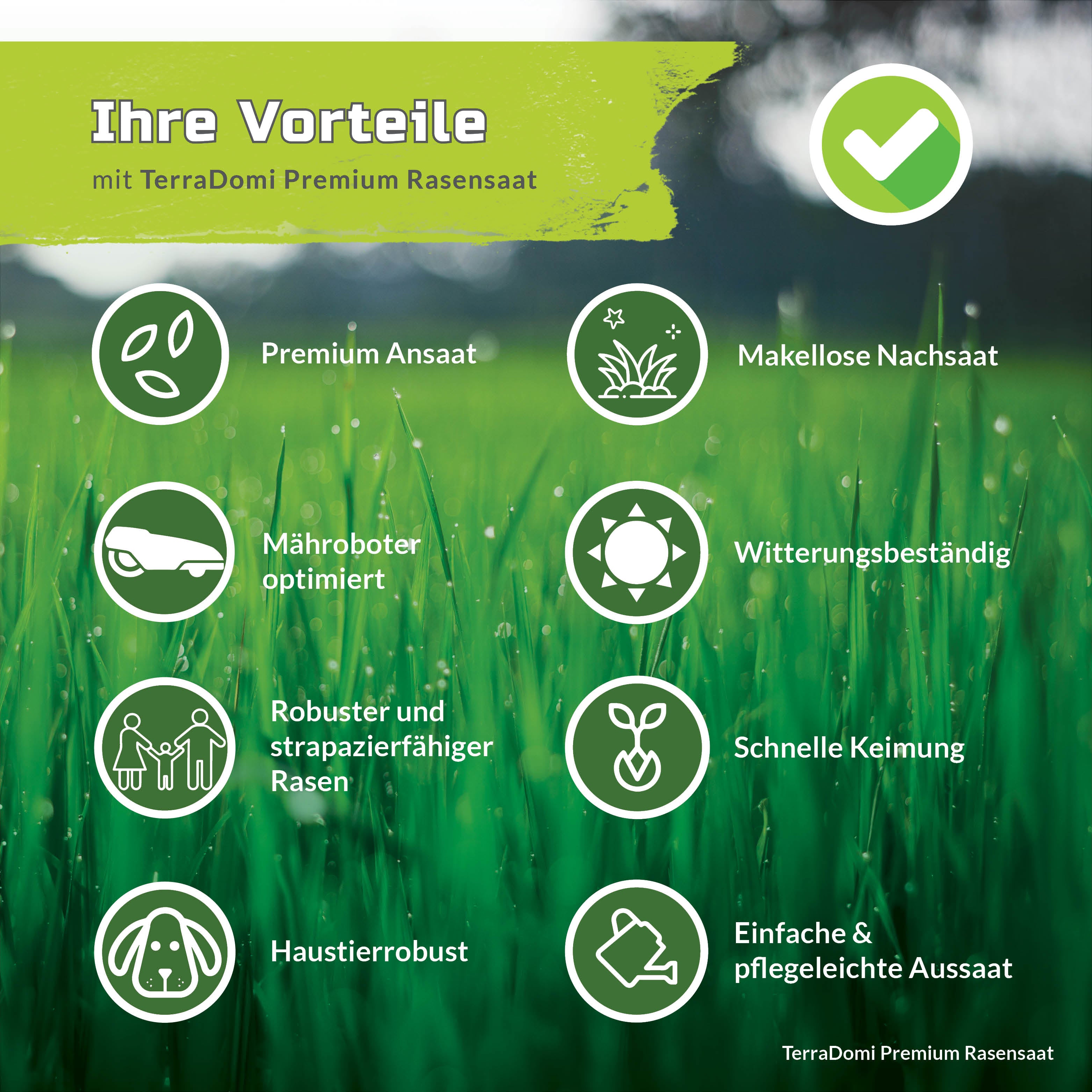 Premium Rasensamen für An- & Nachsaat I strapazierfähige und robuste Rasensaat der Greenkeeper