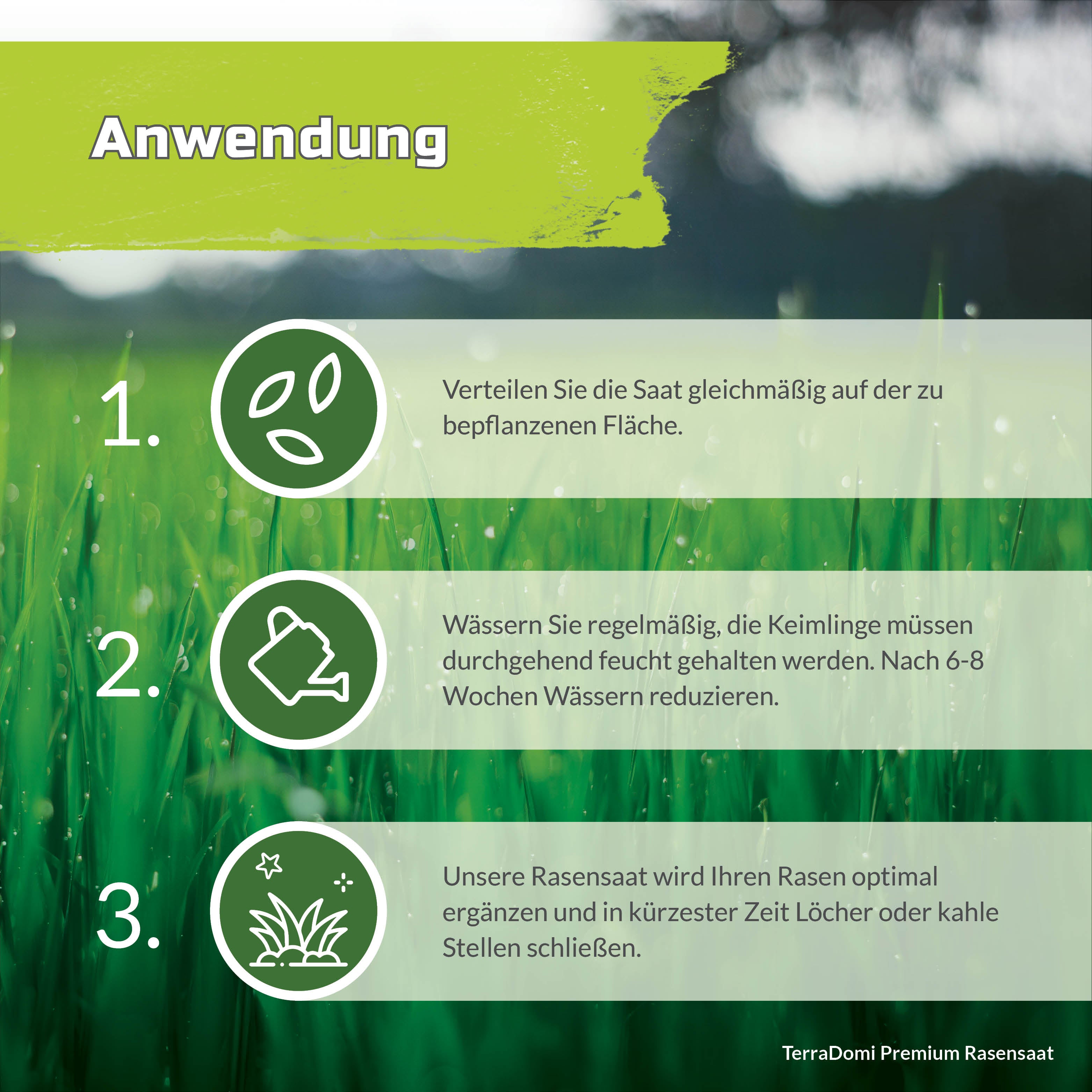 Premium Rasensamen für An- & Nachsaat I strapazierfähige und robuste Rasensaat der Greenkeeper