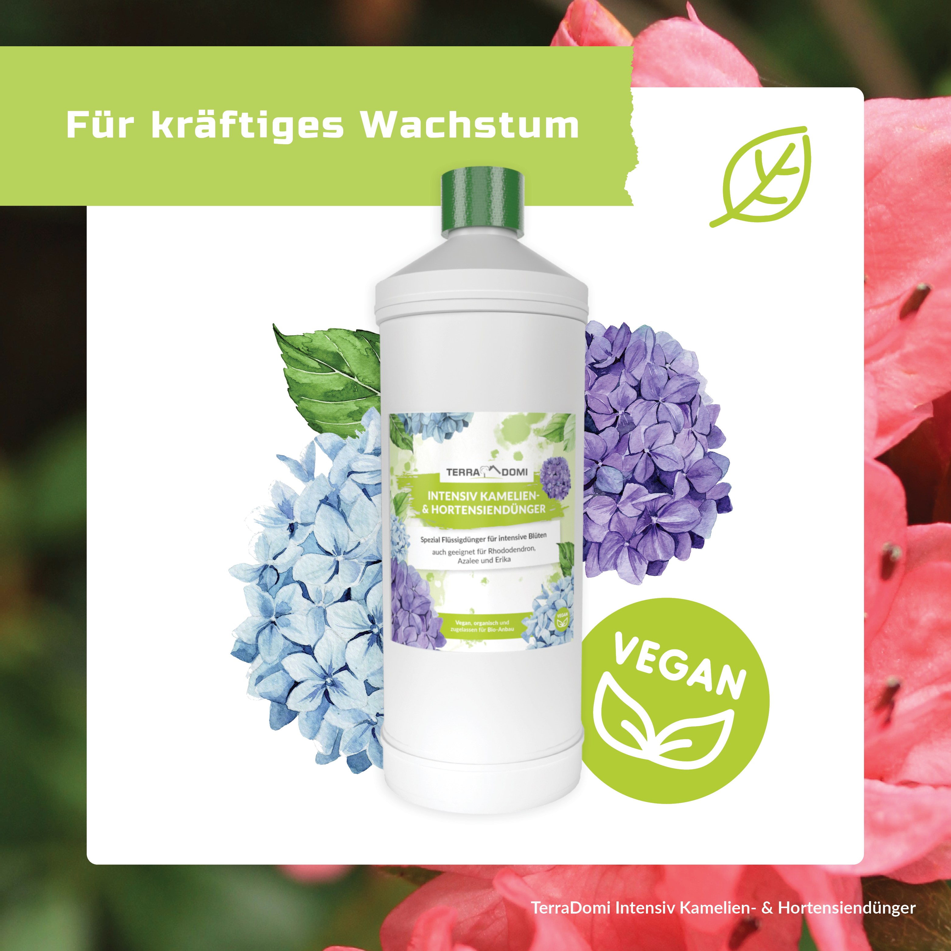 TerraDomi Kamelien- und Hortensiendünger 1 Liter Flüssigdünger Konzentrat