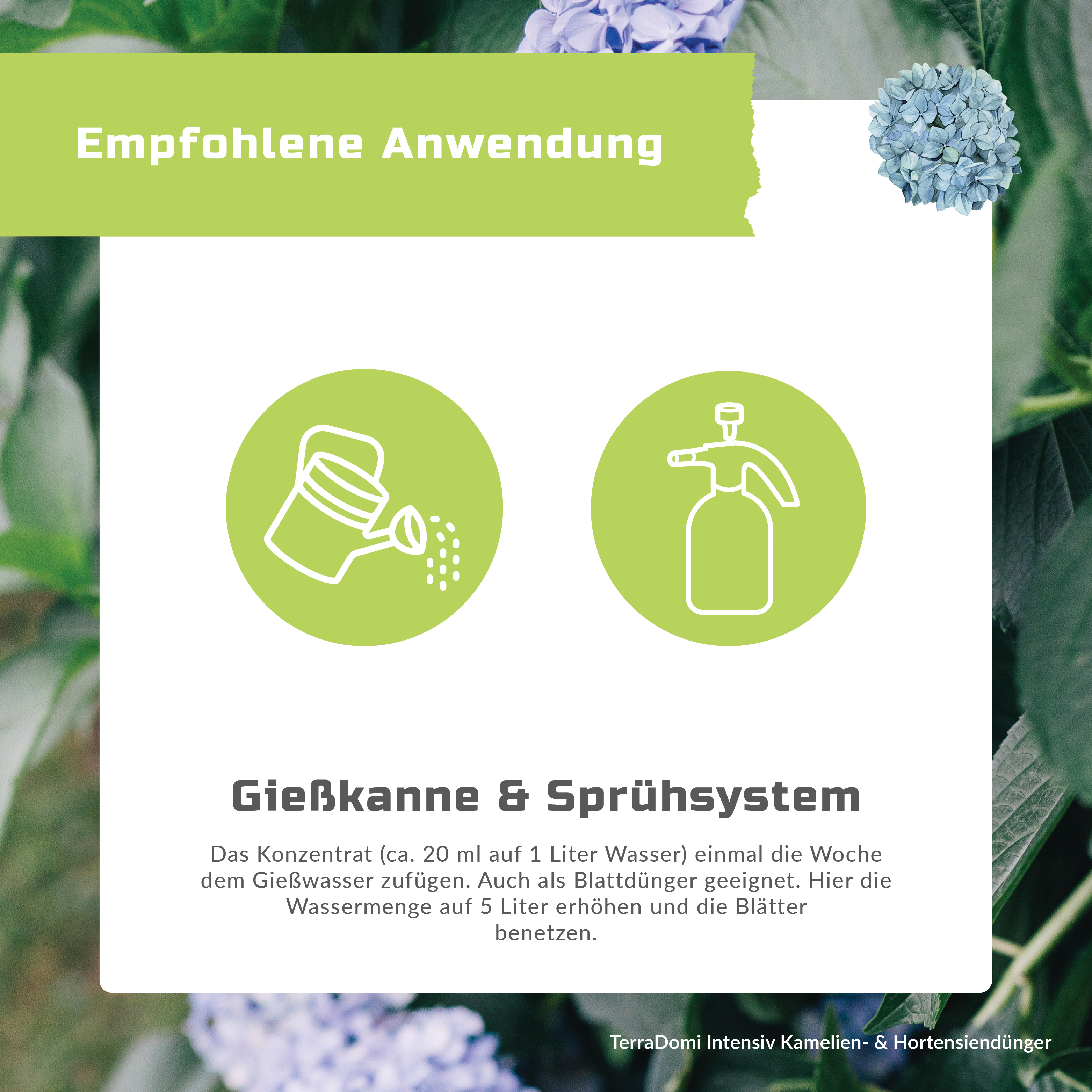 TerraDomi Kamelien- und Hortensiendünger 1 Liter Flüssigdünger Konzentrat