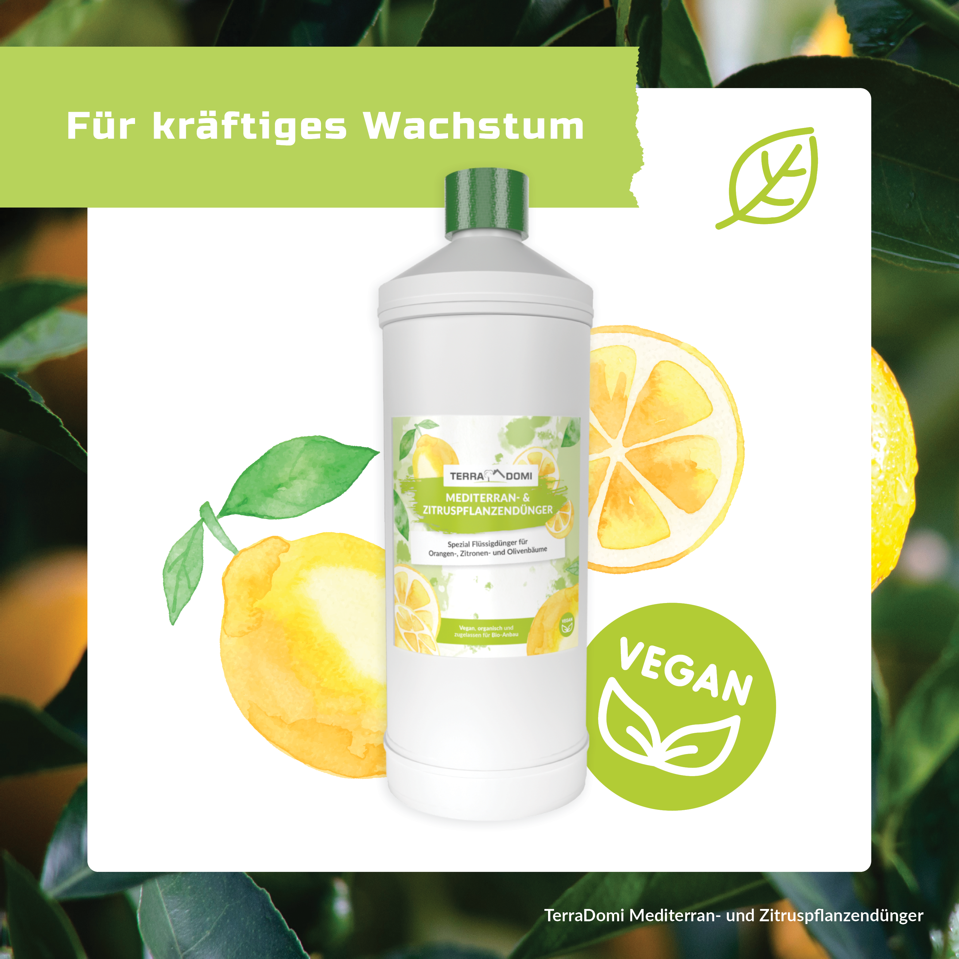 TerraDomi Mediterran- & Zitruspflanzendünger 1 Liter Flüssigdünger Konzentrat