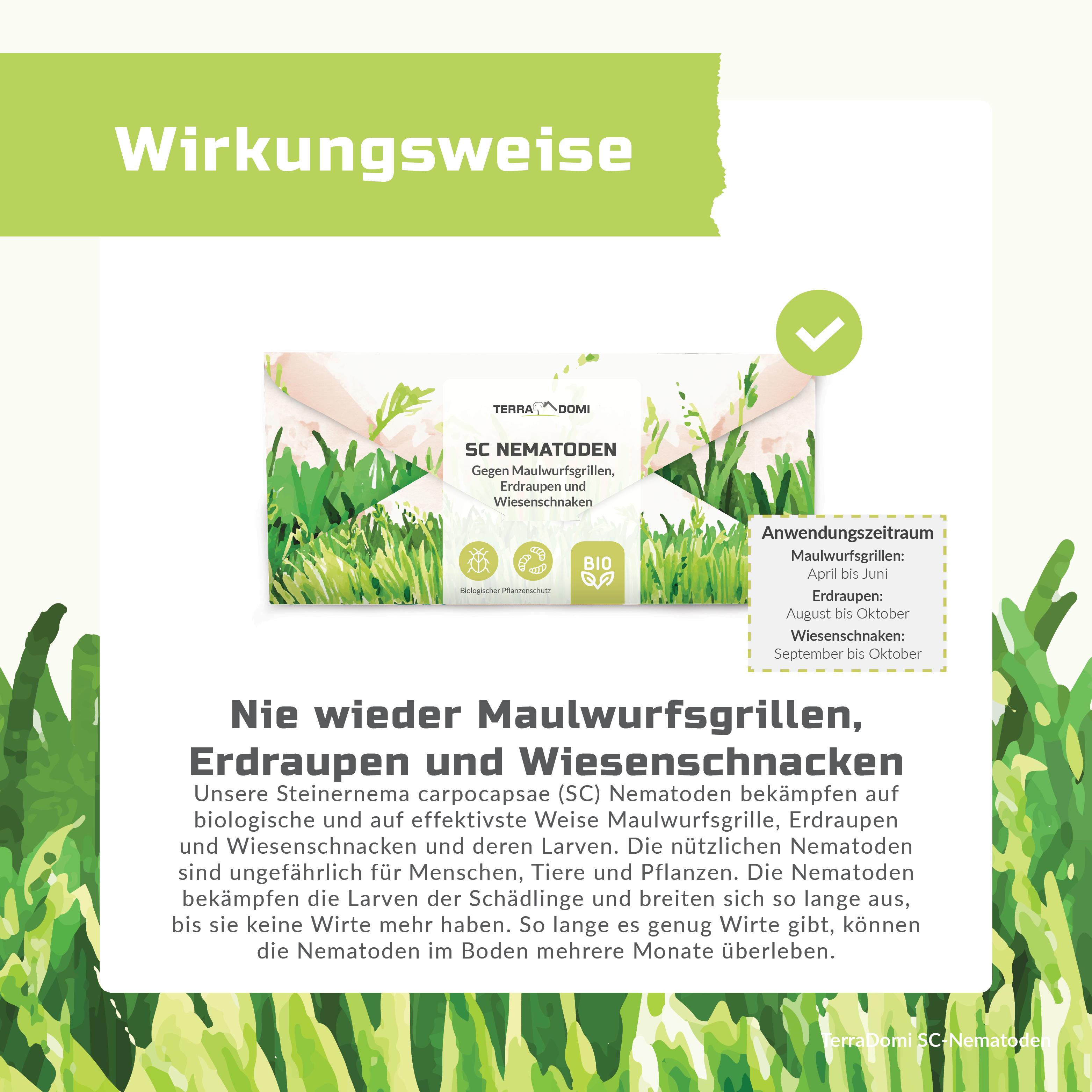 TerraDomi SC Nematoden gegen Maulwurfsgrillen, Erdraupen und Wiesenschnaken