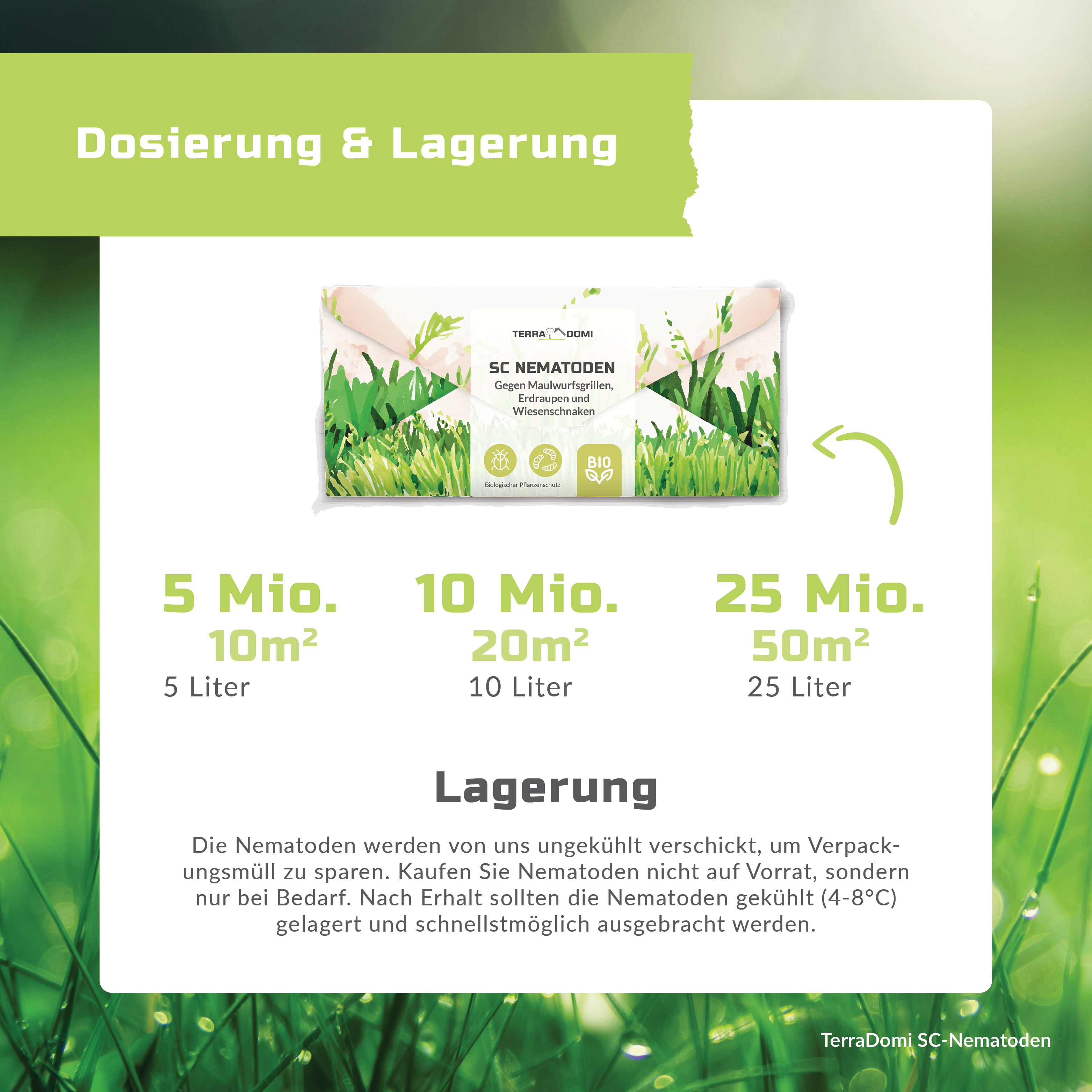 TerraDomi SC Nematoden gegen Maulwurfsgrillen, Erdraupen und Wiesenschnaken