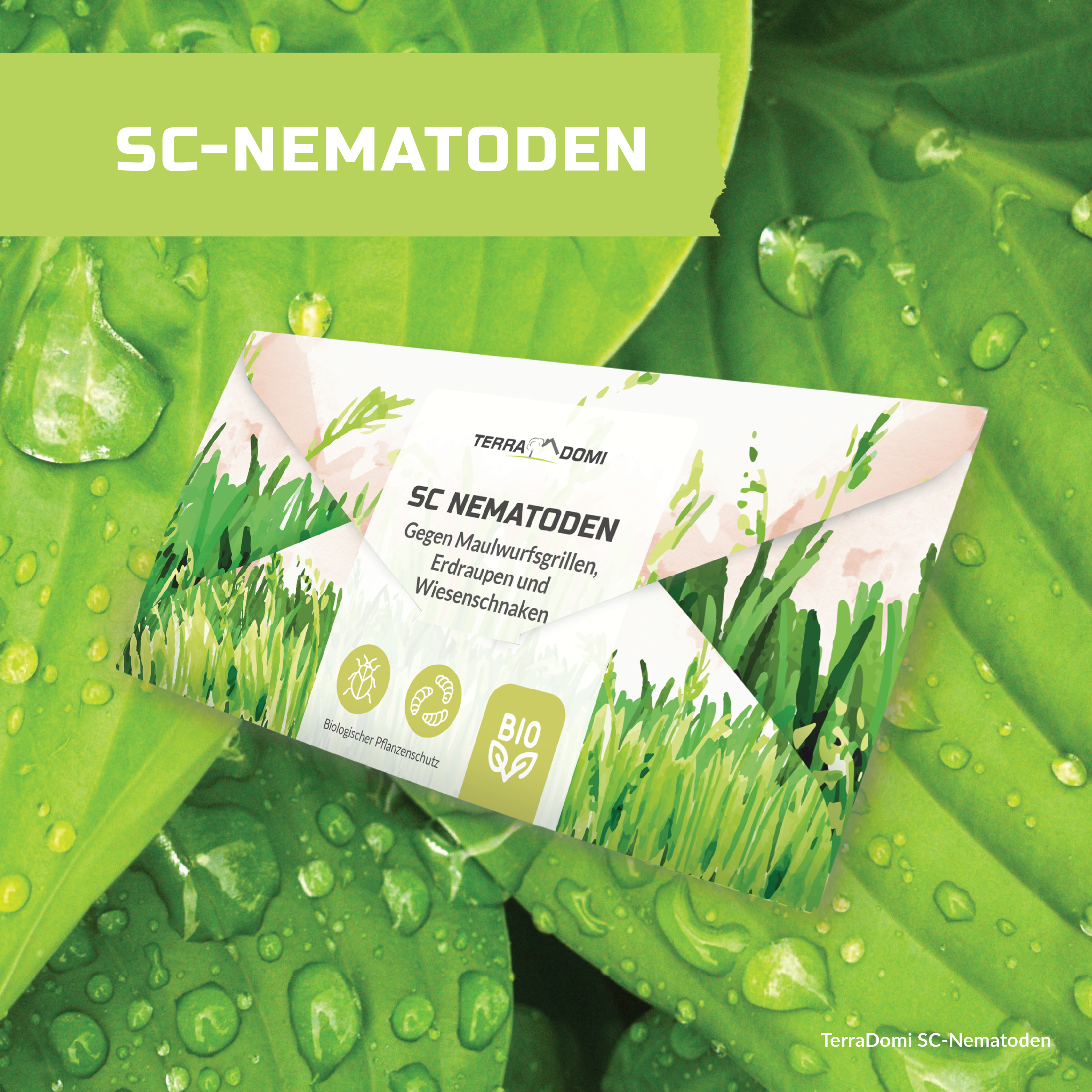 TerraDomi SC Nematoden gegen Maulwurfsgrillen, Erdraupen und Wiesenschnaken