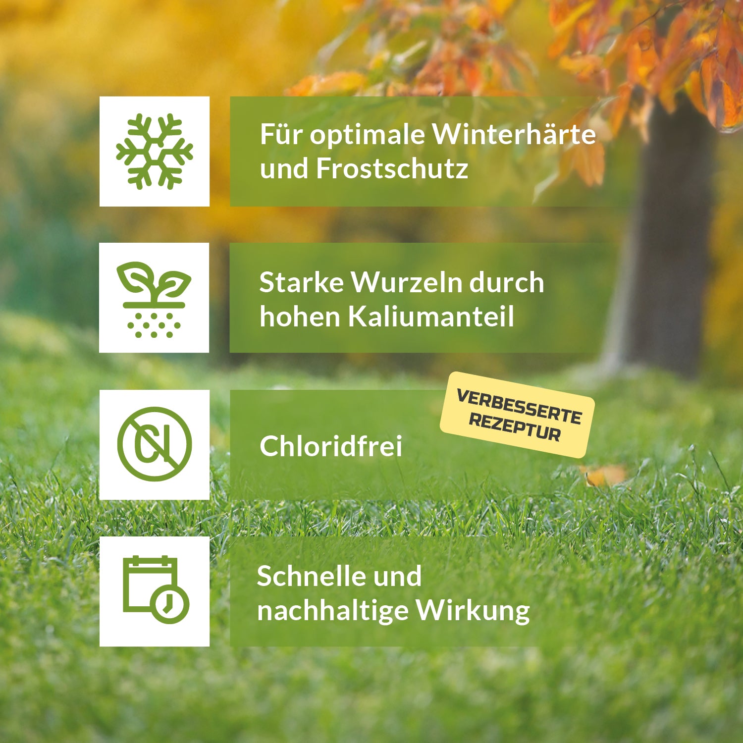 Produktgrafik für kaliumreichen, chloridfreien Herbstdünger mit Vorteilen: optimale Winterhärte und Frostschutz, starke Wurzeln durch hohen Kaliumanteil, Chloridfrei, schnelle und nachhaltige Wirkung. Hinweis: verbesserte Rezeptur.