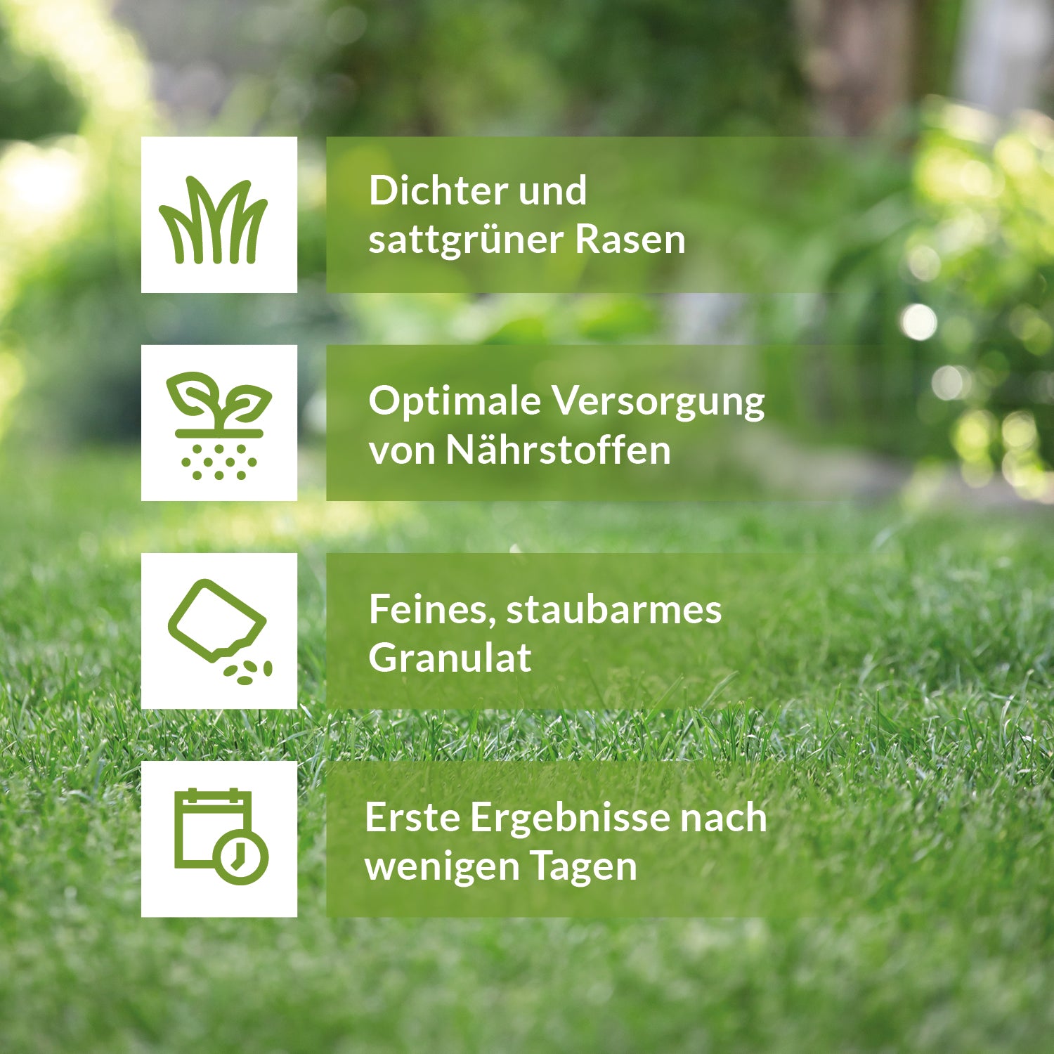 Infografik mit Vorteilen des TerraDomi NPK-Rasendüngers: dichter, sattgrüner Rasen, optimale Nährstoffversorgung, feines staubarmes Granulat, sichtbare Ergebnisse nach wenigen Tagen.