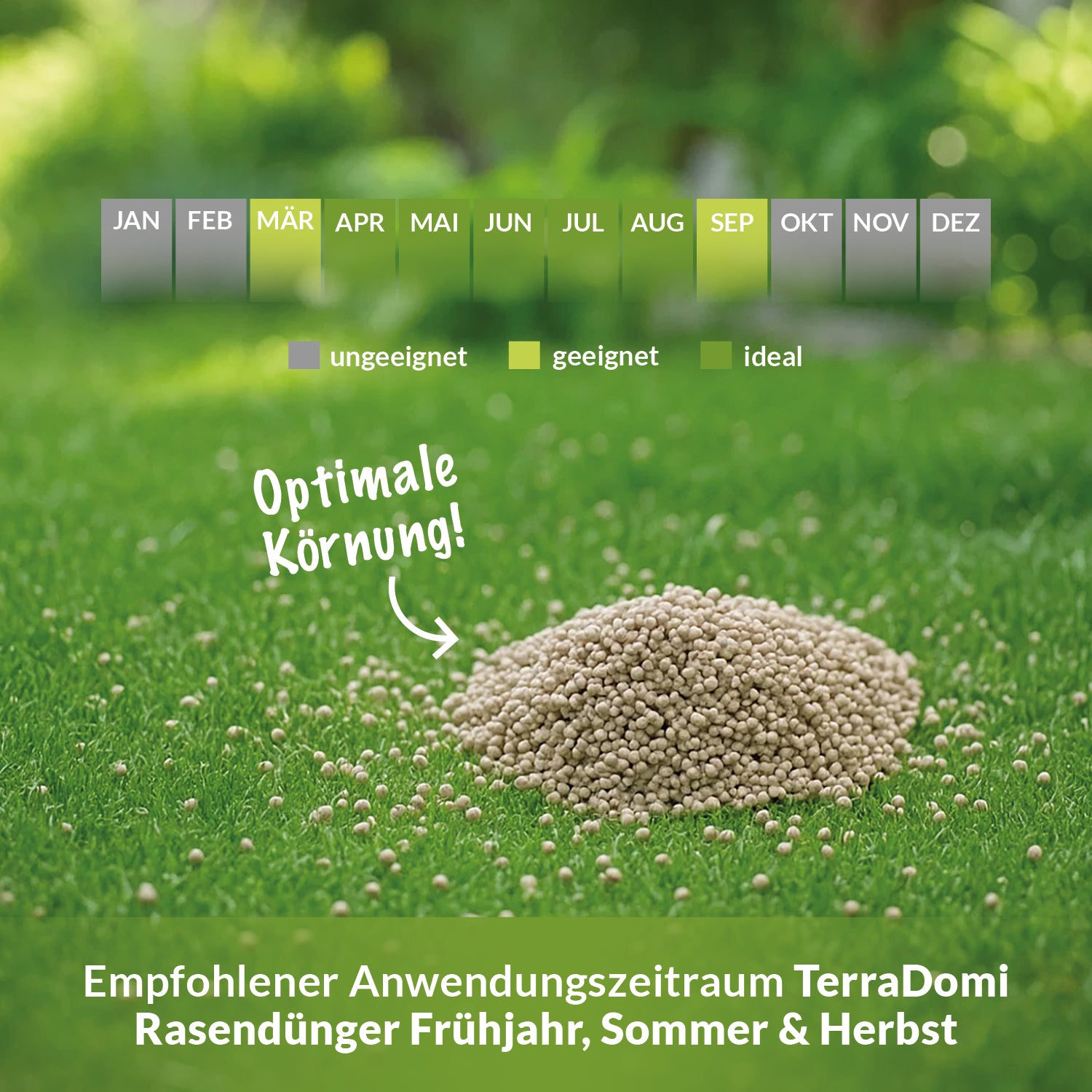 Empfohlener Anwendungszeitraum für TerraDomi NPK-Rasendünger: Geeignet von März bis September, ideal von April bis August, ungeeignet von Oktober bis Februar. Haufen brauner Düngerkörner mit Text: Optimale Körnung.
