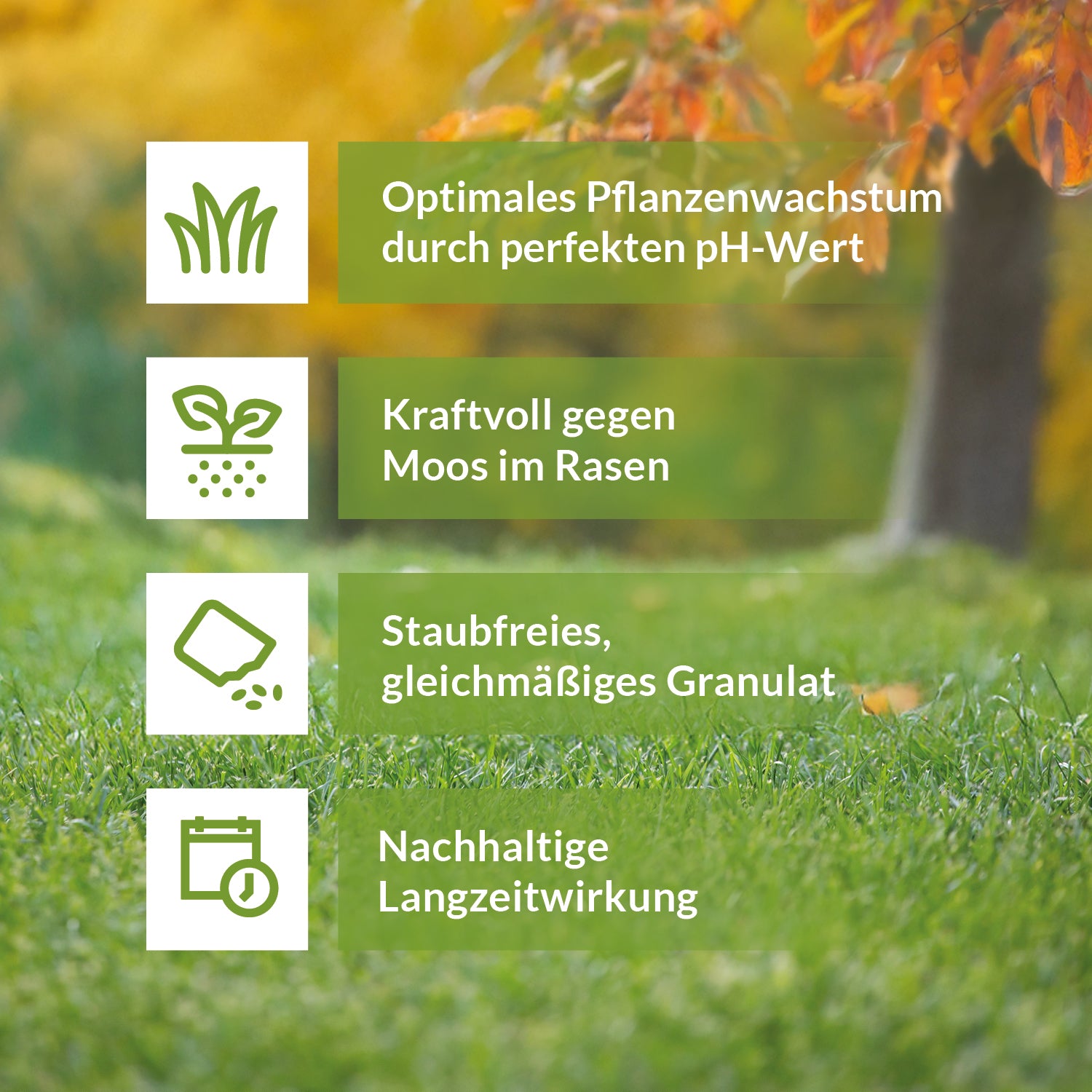 Rasenkalk Vorteile – optimales Pflanzenwachstum durch idealen pH-Wert, wirksam gegen Moos, staubfreies Granulat mit Langzeitwirkung.