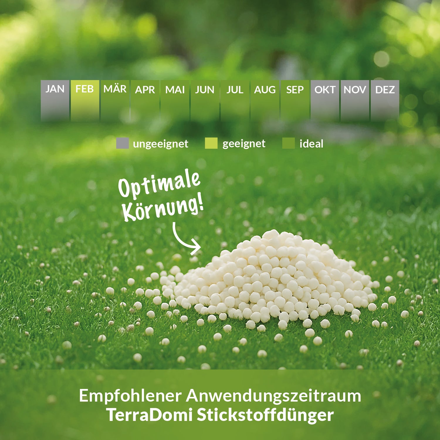 Empfohlener Anwendungszeitraum für TerraDomi Stickstoffdünger: Geeignet von Februar bis Oktober, ideal von März bis September, ungeeignet im Januar, November und Dezember. Im Vordergrund Haufen weißer Düngerkörner mit Text: Optimale Körnung.