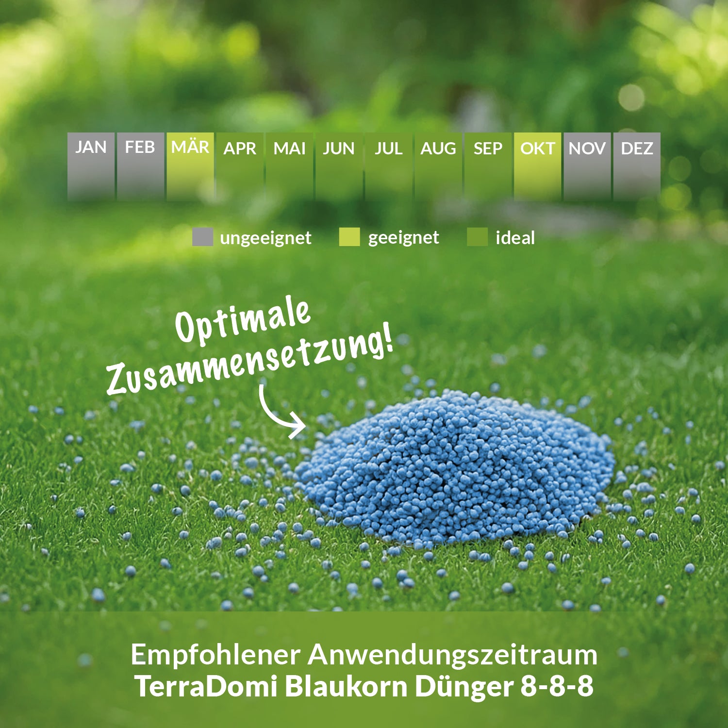 Haufen Düngergranulatkörner auf Rasen, Kalendergrafik mit besten Monaten (März bis Oktober) markiert.