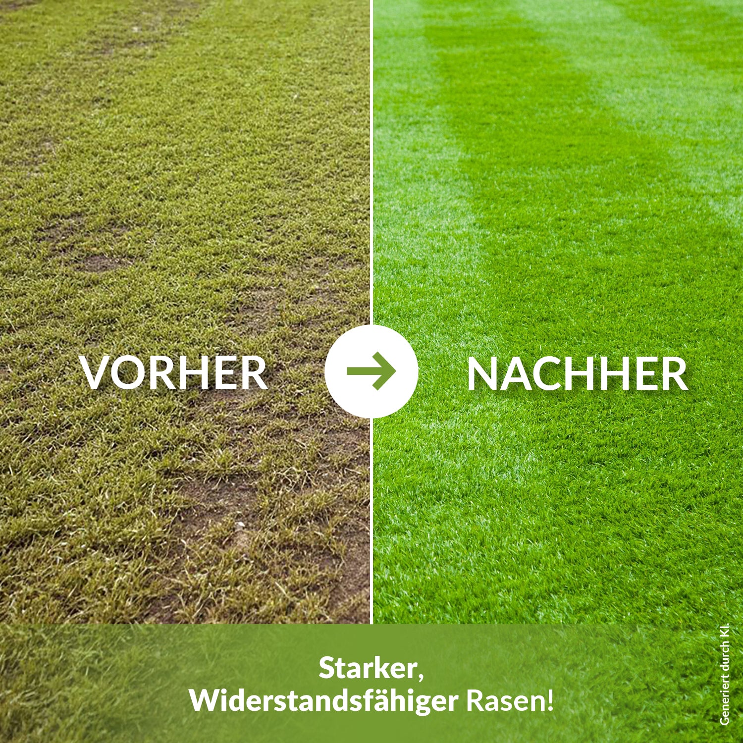 TerraDomi Frühlingskick Rasendünger Flüssig 1 L für 250-300m²