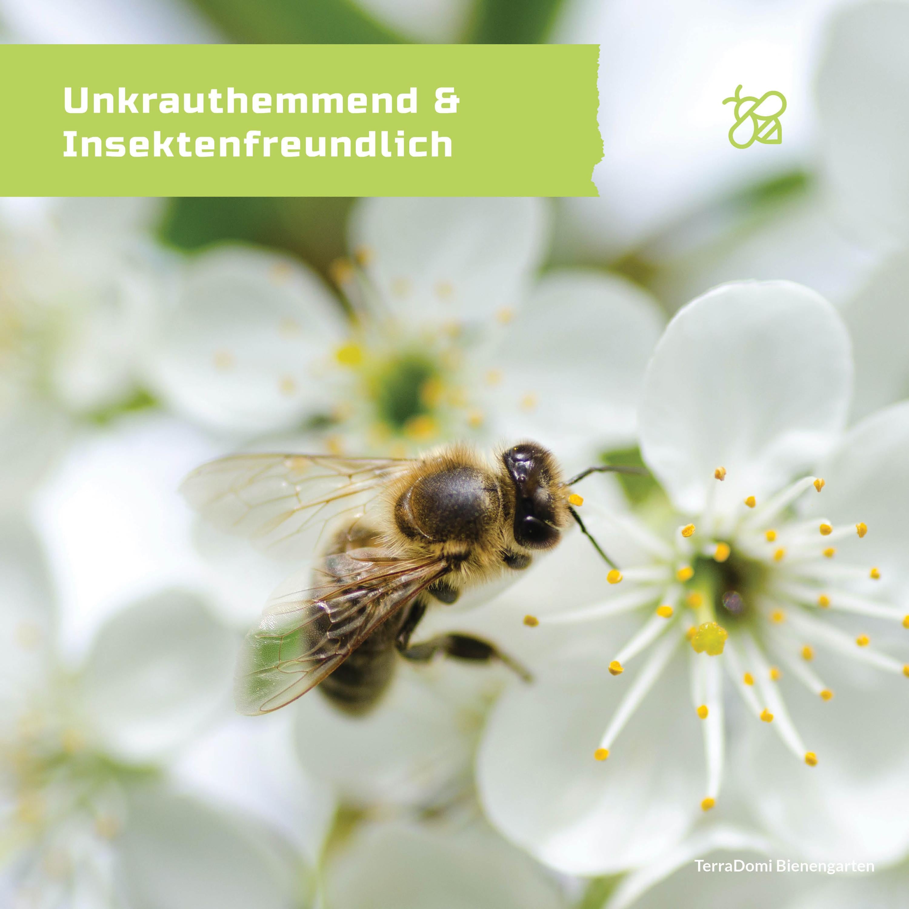 Blumenmischungen_Bienengarten_Grafik_Amazon-Kopie4