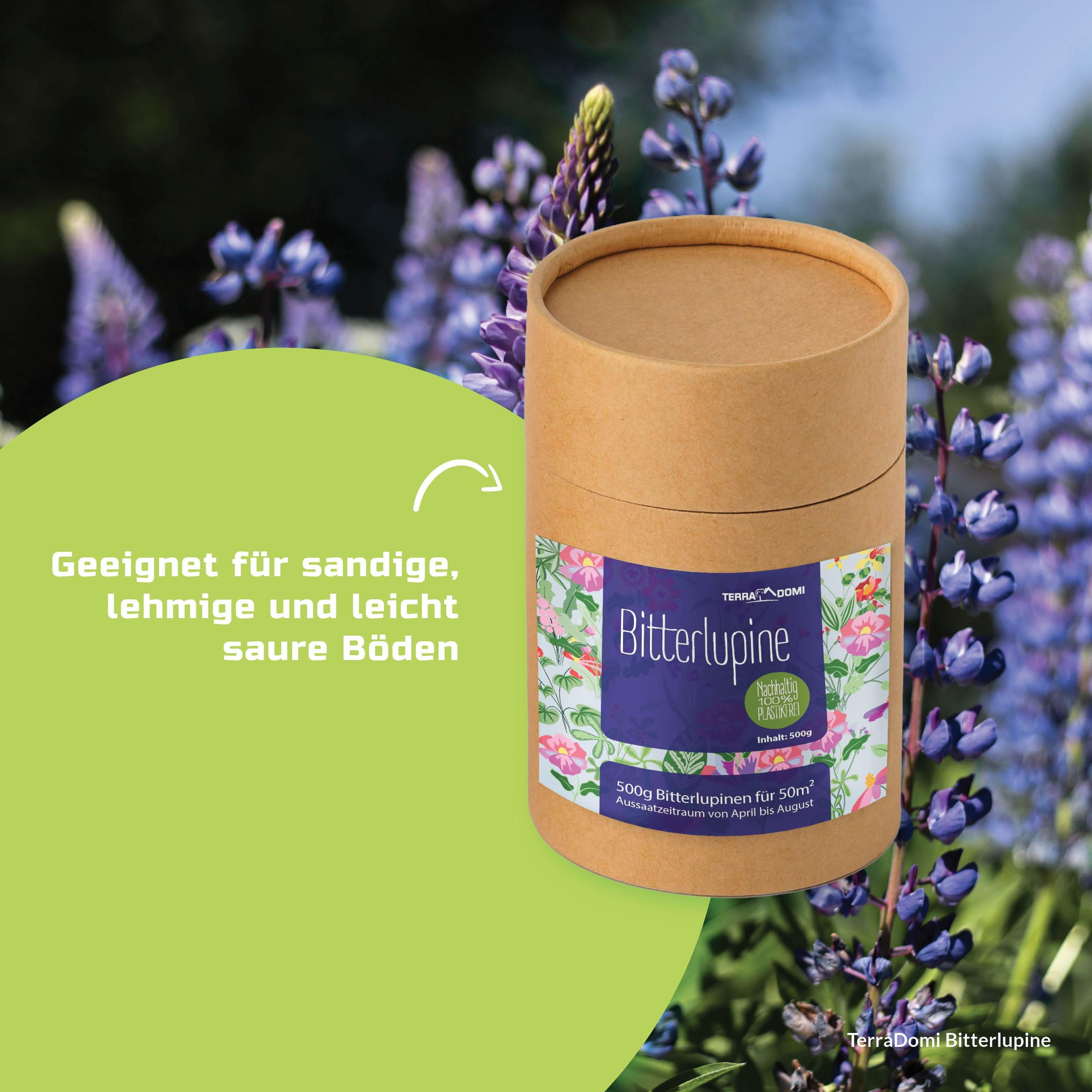 Blumenmischungen_Bitterlupine_Grafik_Amazon5