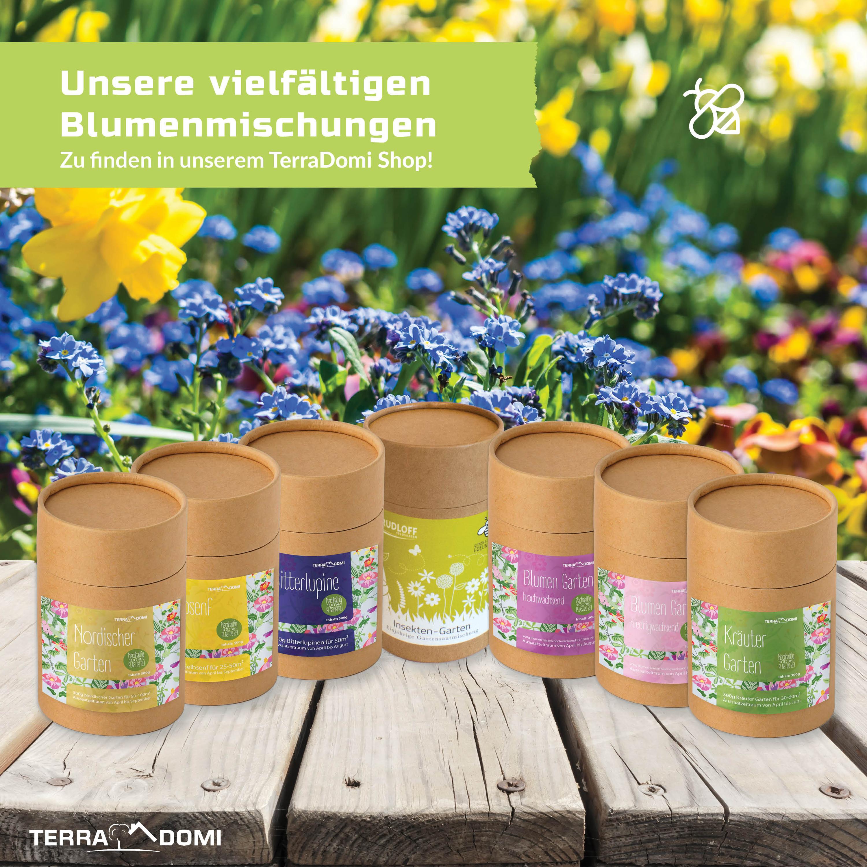 Blumenmischungen_Blumengarten_Grafik_Amazon6