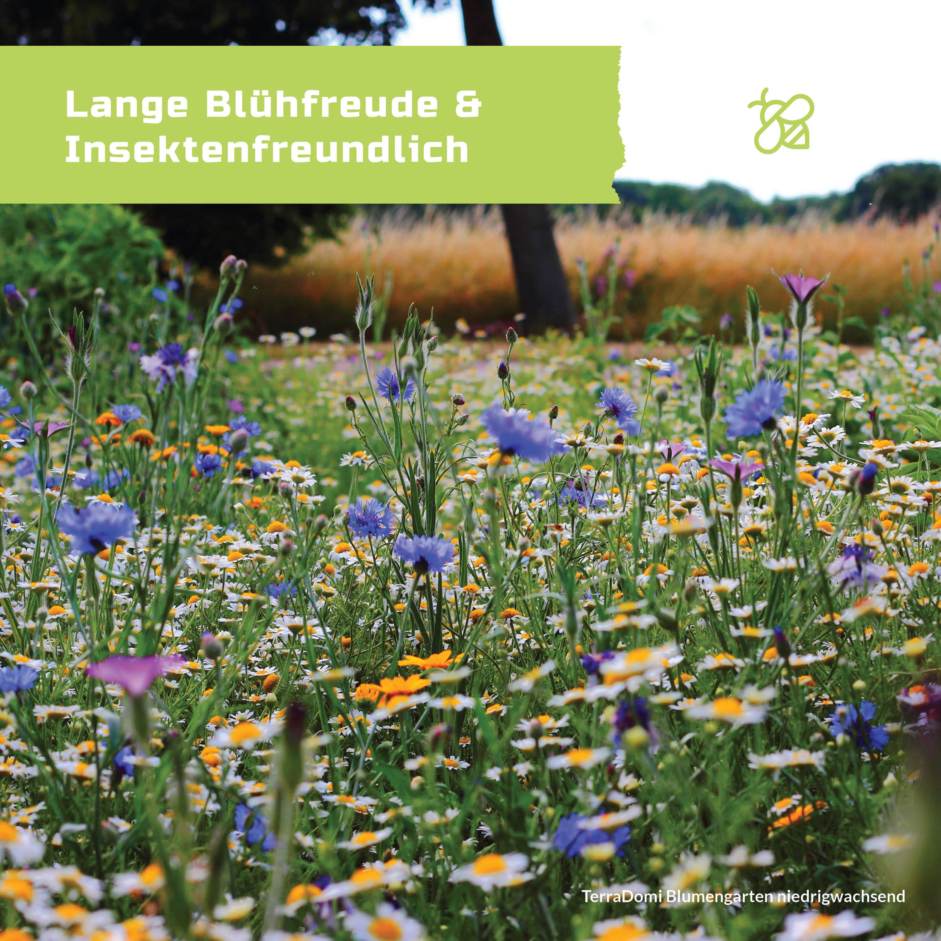 Blumenmischungen_Blumengarten_niedrigwachsend_Grafik_Amazon-Kopie4