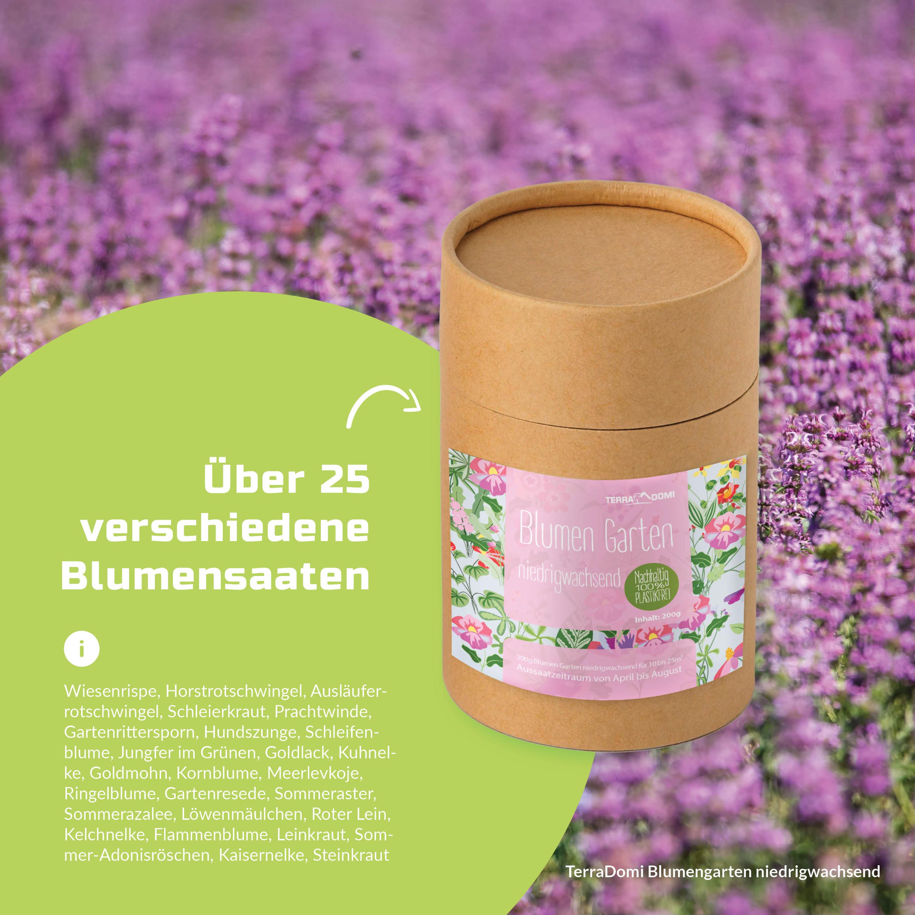 Blumenmischungen_Blumengarten_niedrigwachsend_Grafik_Amazon-Kopie5