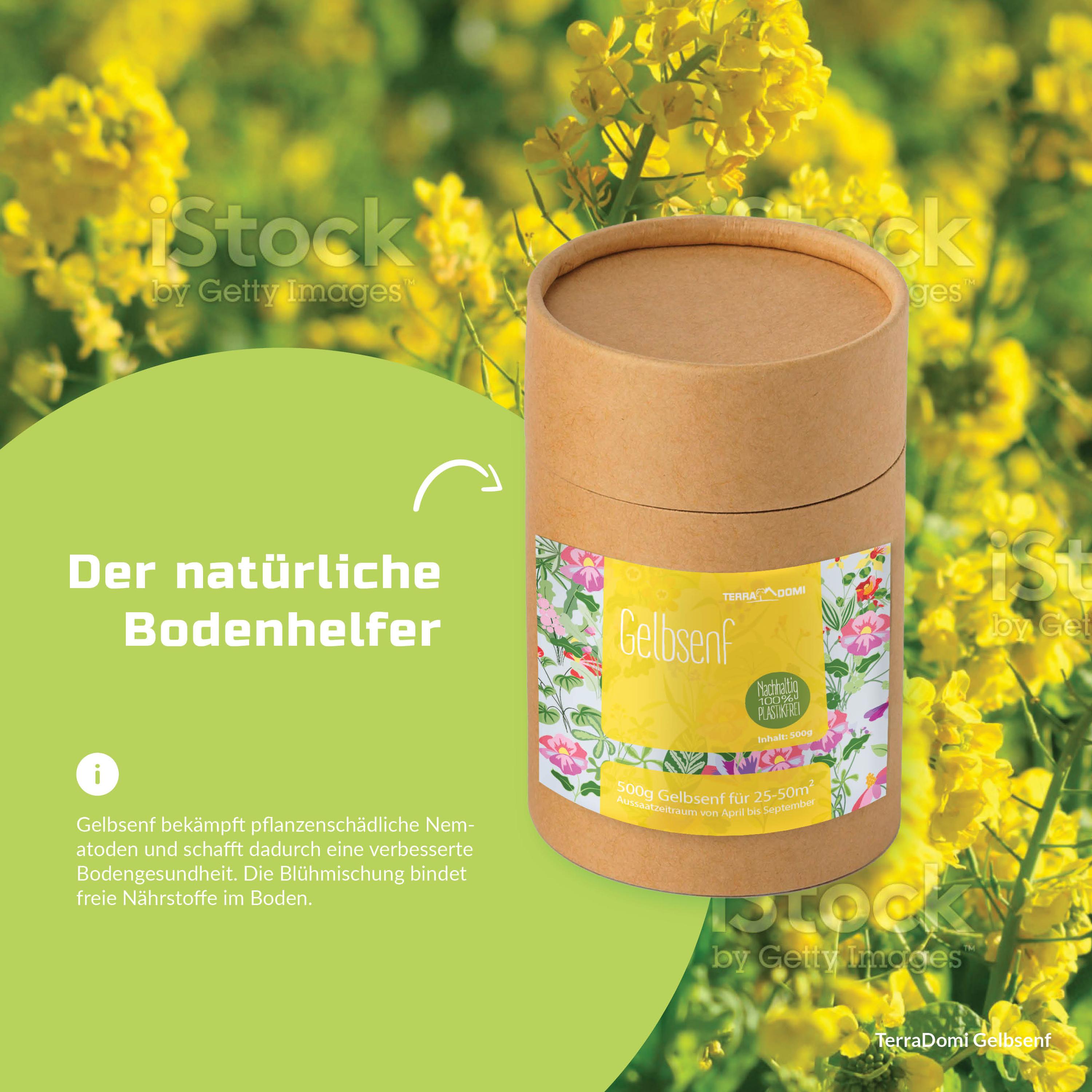 Blumenmischungen_Gelbsenf_Grafik_Amazon5