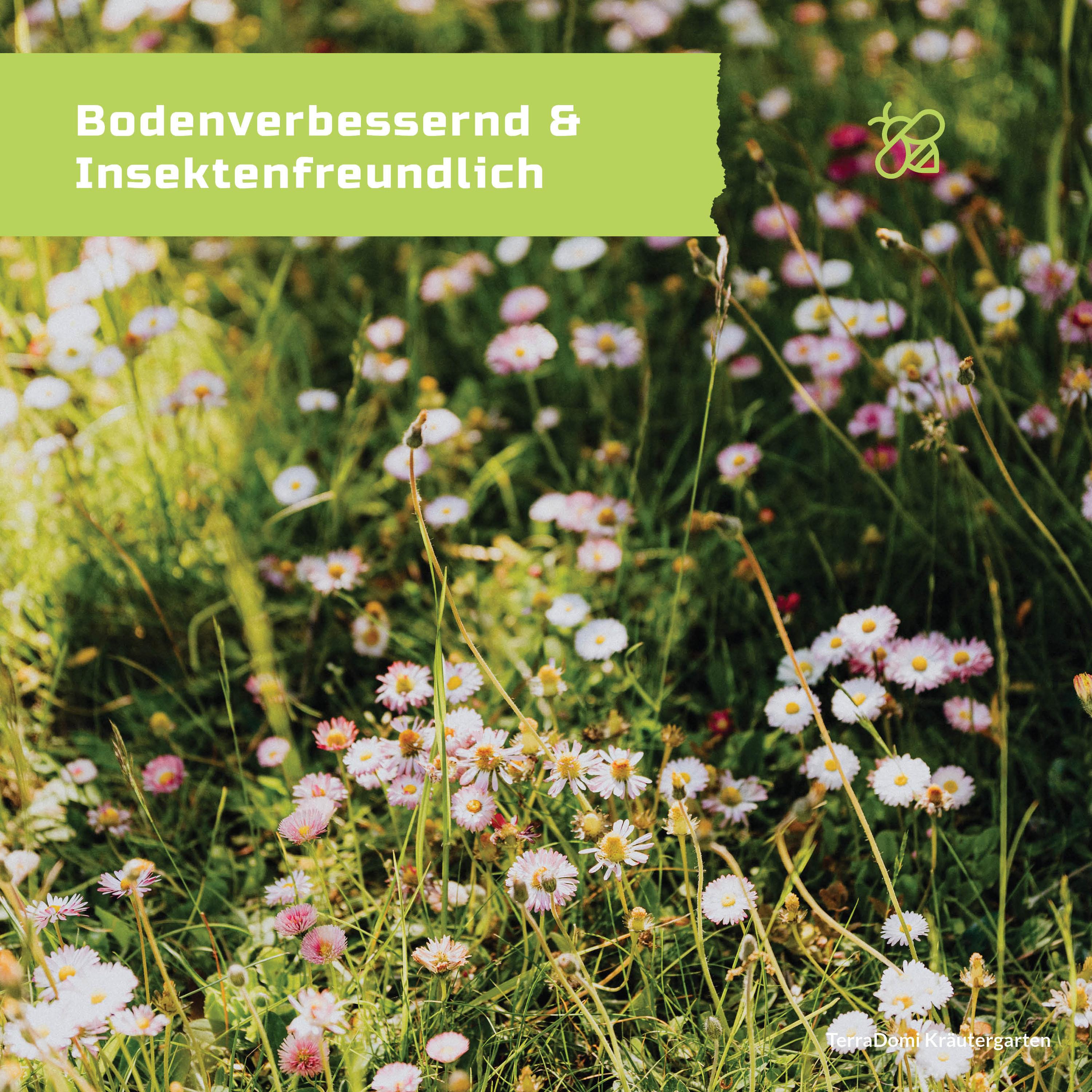 Blumenmischungen_Kr-utergarten_Grafik_amazon4