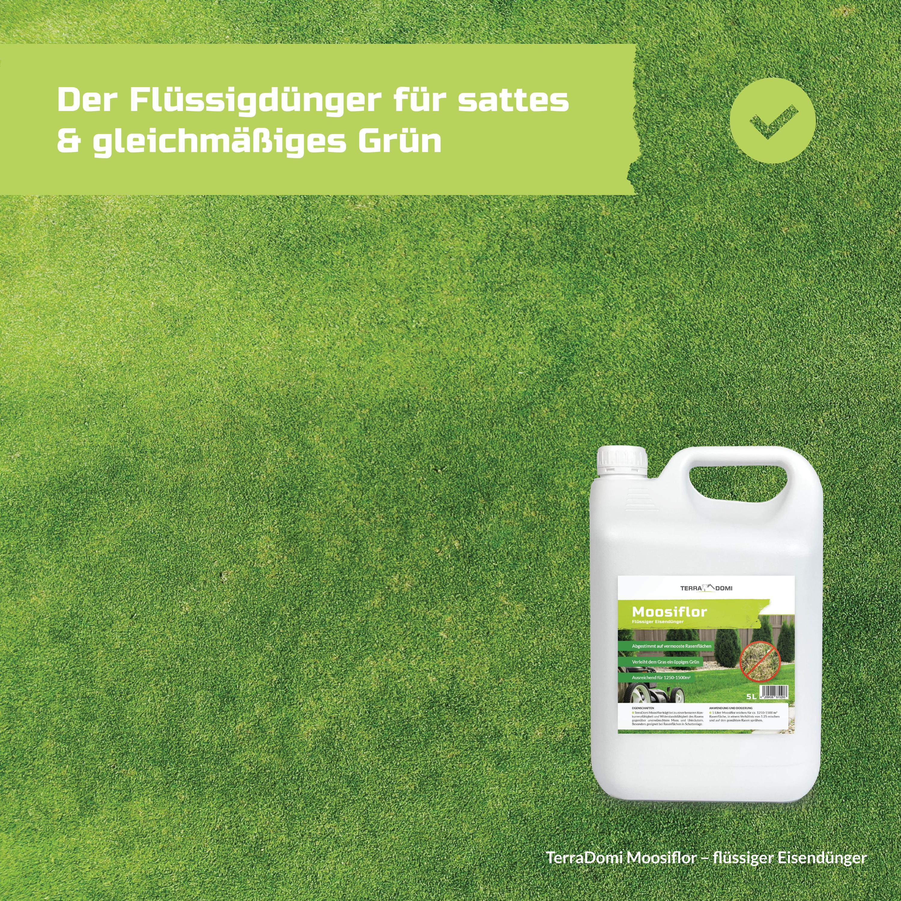 Grafiken_Moosiflor6
