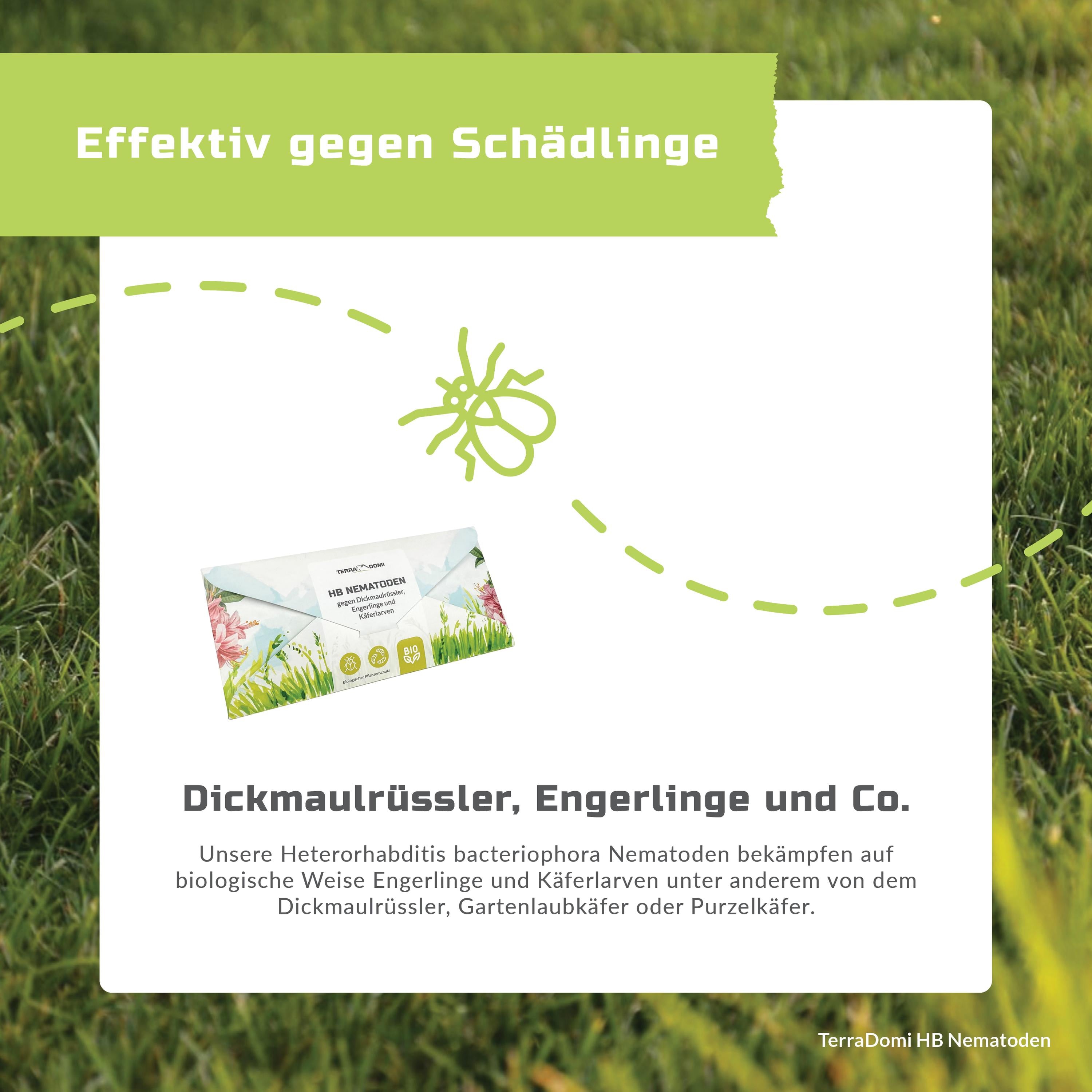 Nematoden_HB_Grafik5