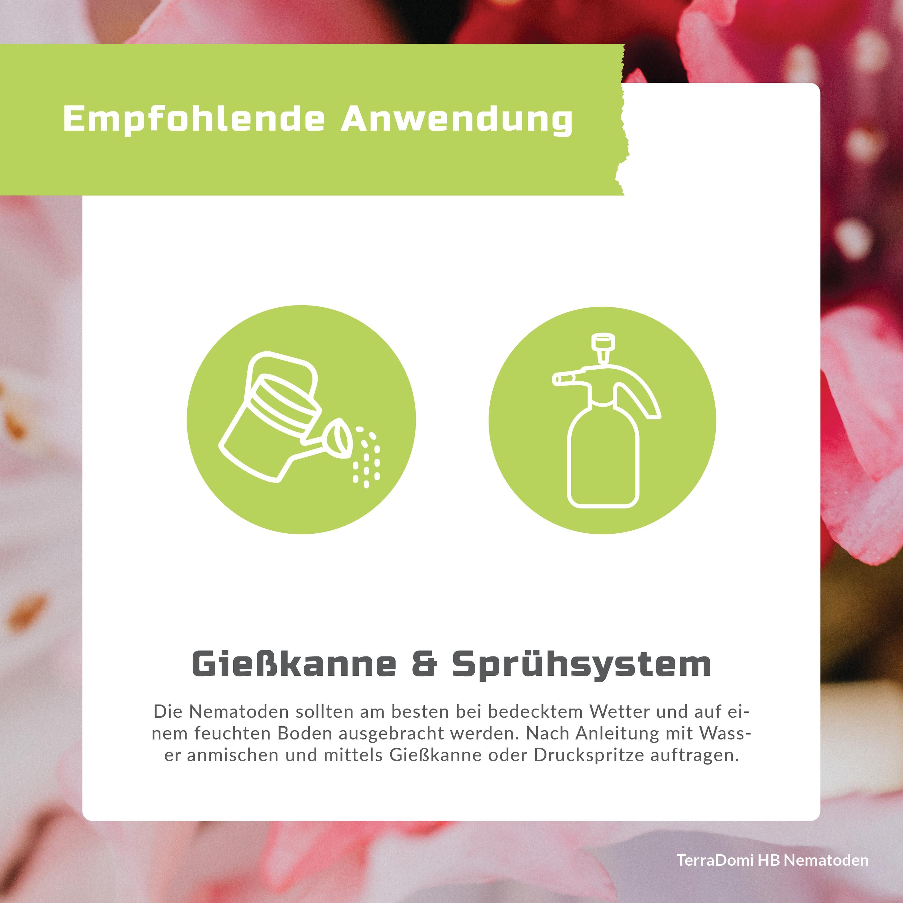 Nematoden_HB_Grafik6