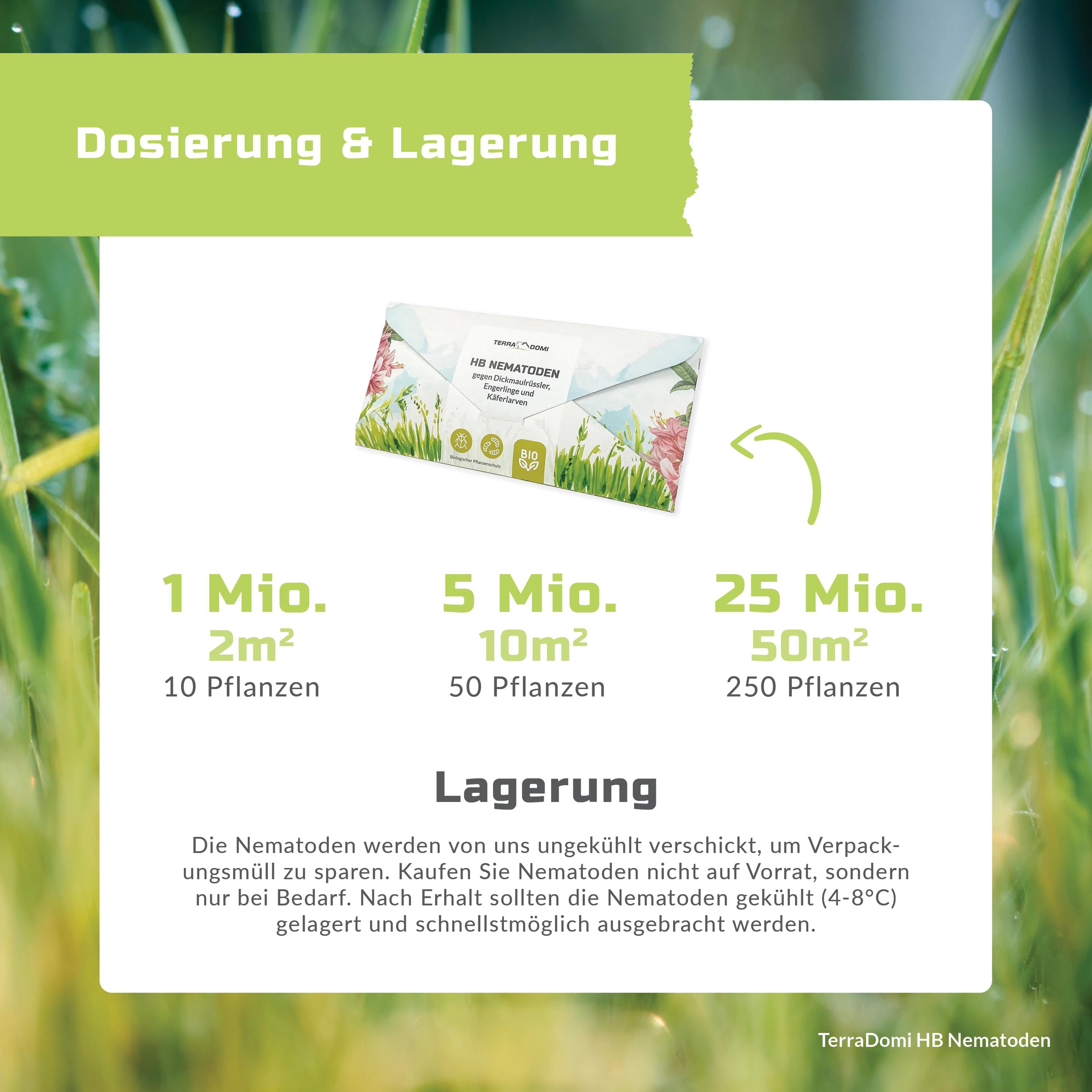 Nematoden_HB_Grafik7