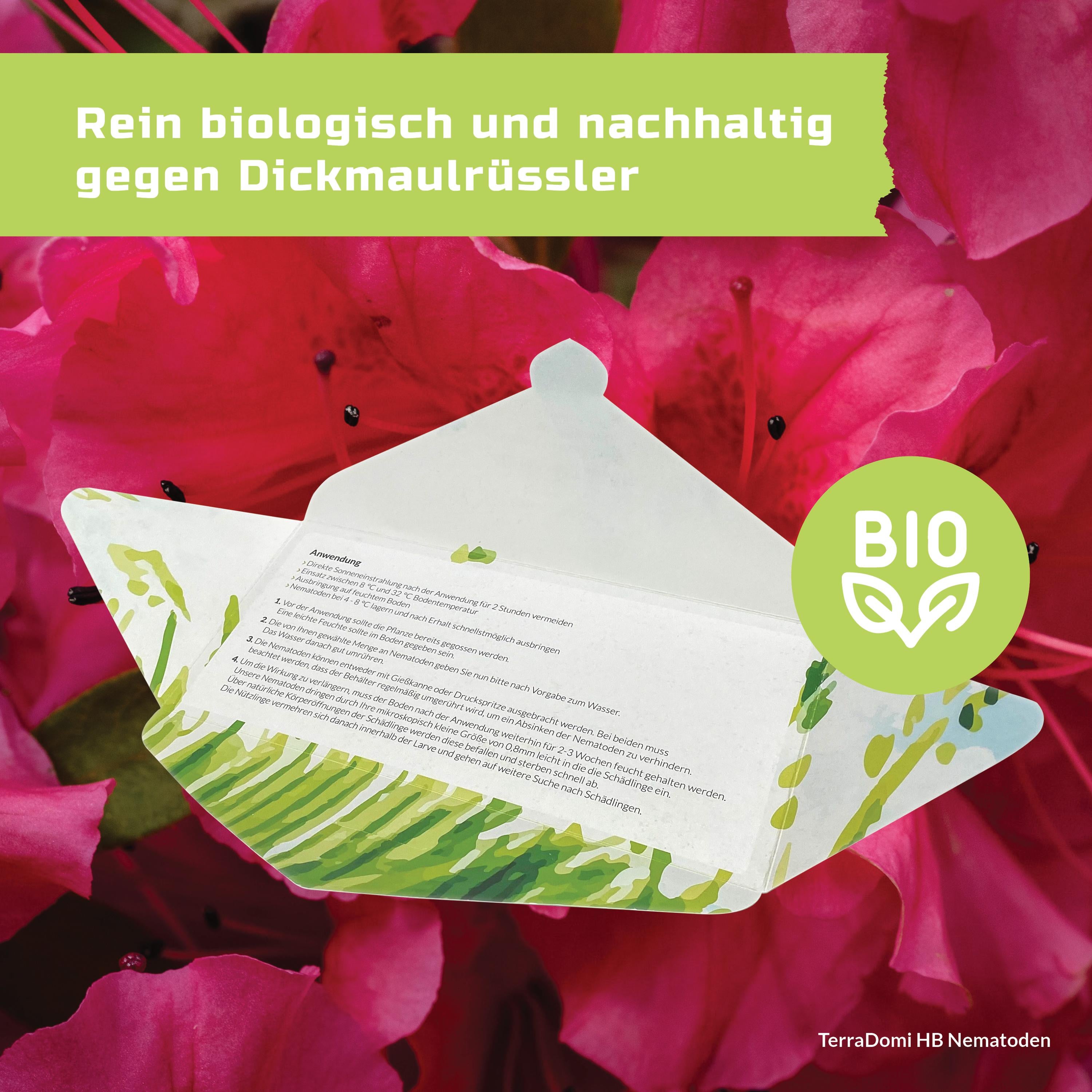 Nematoden_HB_Grafik8