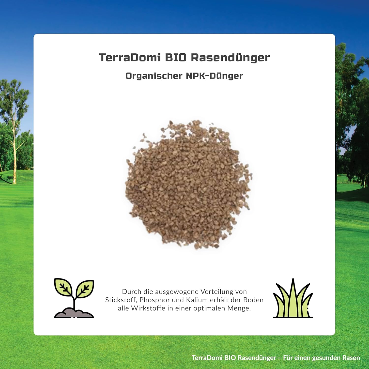 TerraDomi Bio Rasendünger Frühjahr & Sommer 20kg