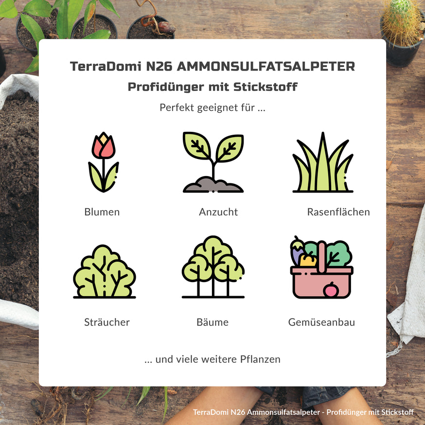 Ammonsulfatsalpeter N26 Stickstoff-Dünger