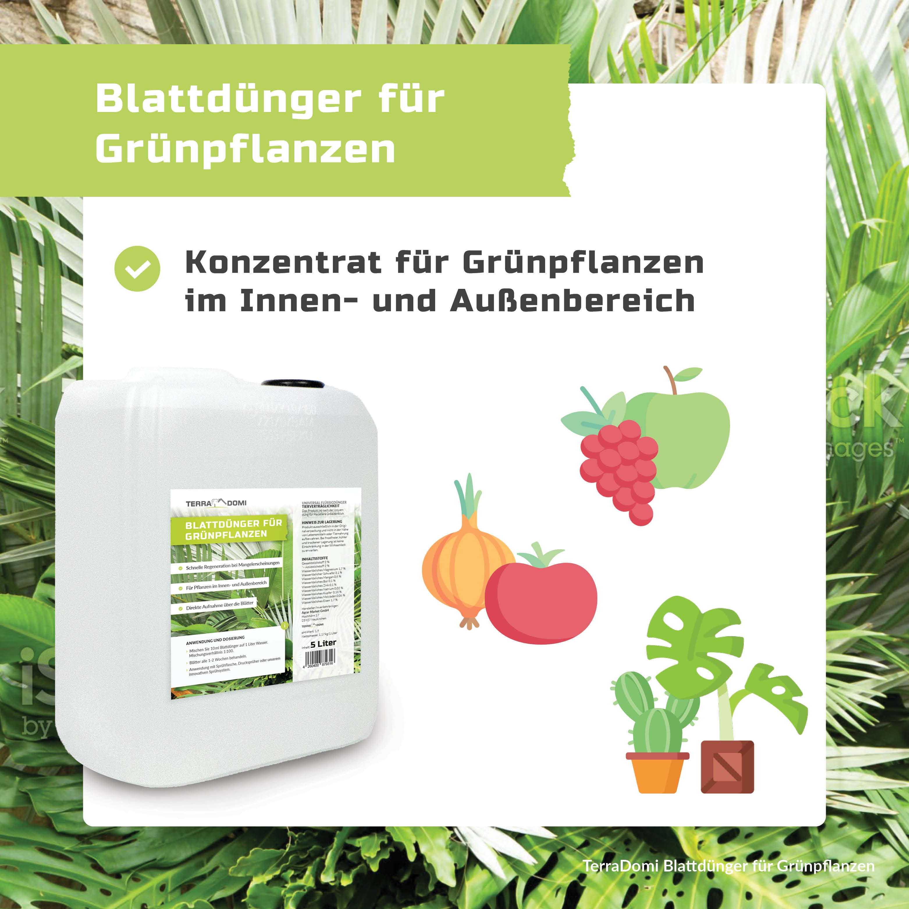 TerraDomi Blattdünger für Grünpflanzen | Für Palmen, Kakteen und andere Pflanzen