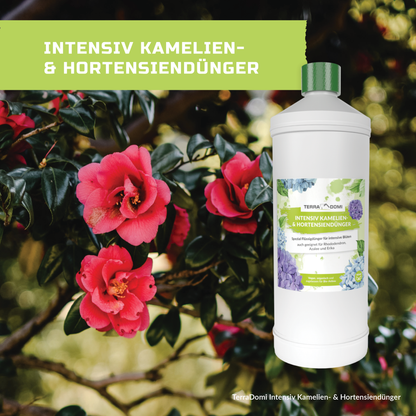 TerraDomi Kamelien- und Hortensiendünger 1 Liter Flüssigdünger Konzentrat