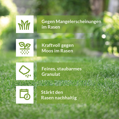 Infografik mit vier Vorteilen von Eisendünger auf grünem Rasenhintergrund: Gegen Mangelerscheinungen im Rasen, kraftvoll gegen Moos, feines staubarmes Granulat, stärkt den Rasen nachhaltig.
