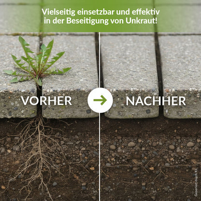 TerraDomi Bio Rusche AF Grundstoff Acetum | Unkrautbeseitigung auf natürlichem Weg