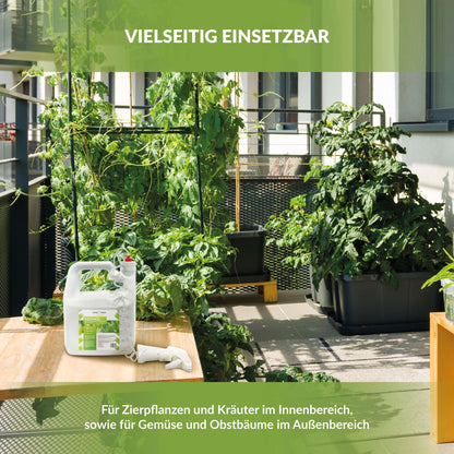 TerraDomi Neemöl im 3-Liter-Kanister mit Sprühpistole zwischen Pflanzen auf einem Balkon und der Bildaufschrift Vielseitig Einsetzbar für Zierpflanzen und Kräuter im Innenbereich, sowie für Gemüse und Obstbäume im Außenbereich.