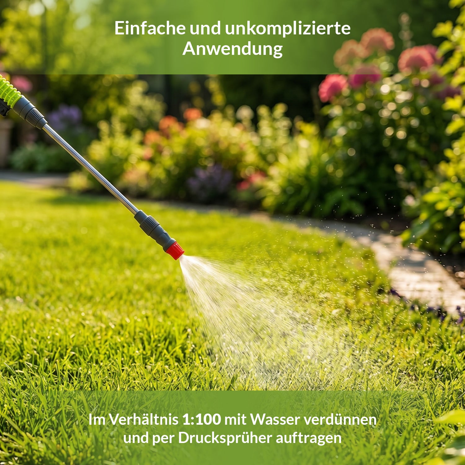 Anwendung von TerraDomi Dicotex mit Drucksprüher nach Verdünnung im Verhältnis 1:100.