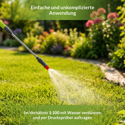 Anwendung von TerraDomi Dicotex mit Drucksprüher nach Verdünnung im Verhältnis 1:100.