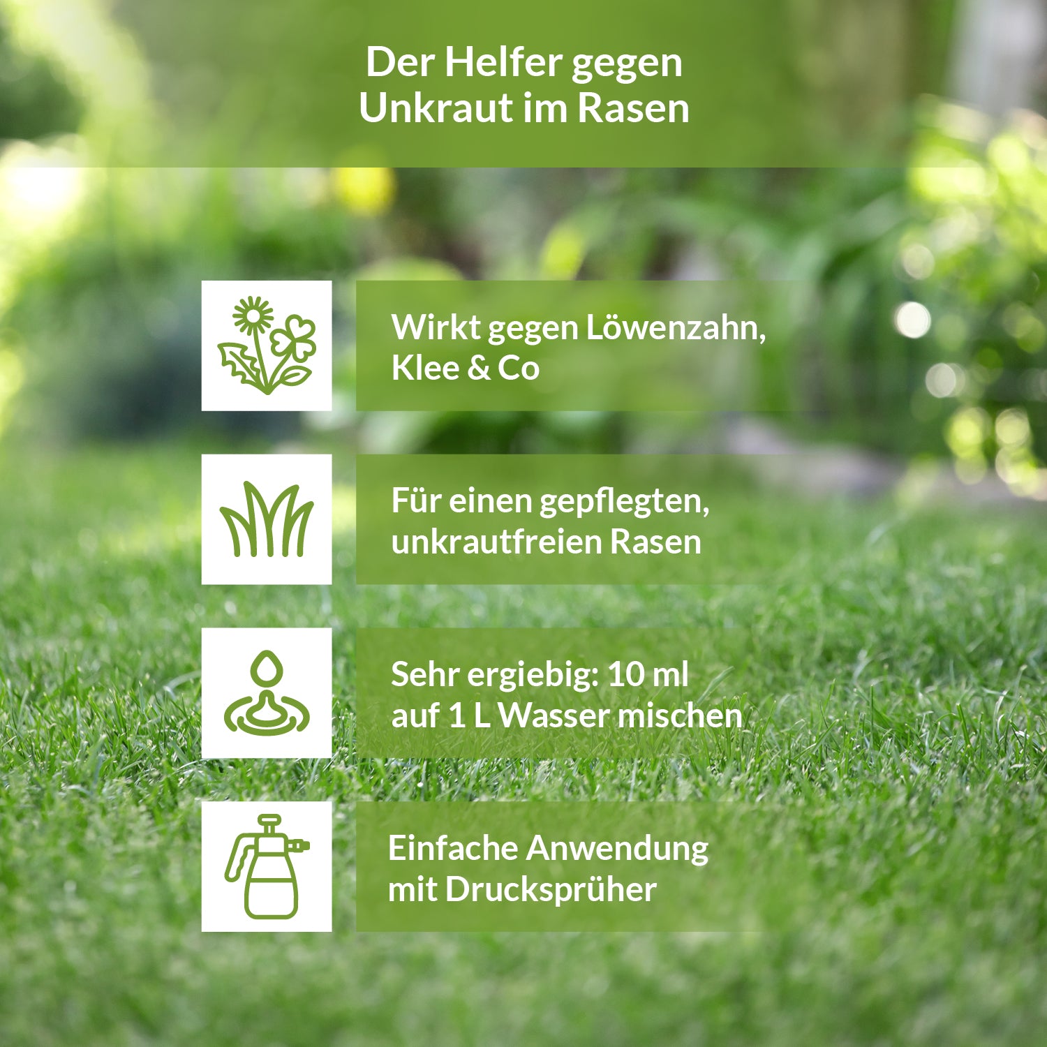 TerraDomi Dicotex entfernt Löwenzahn, Klee und andere Rasenunkräuter für einen gepflegten Rasen.
