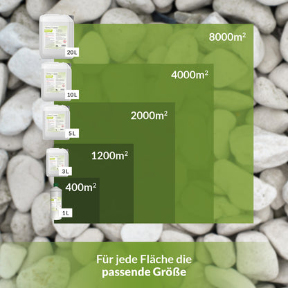 Übersicht der Gebindegrößen des Steinreinigers TerraDomi Rusche von 1 l bis 20 l mit entsprechenden Flächenleistungen von 400 m² bis 8000 m².