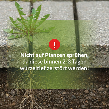 Warnhinweis zur Anwendung des Steinreinigers TerraDomi Rusche: Nicht auf Pflanzen sprühen, da diese innerhalb weniger Tage absterben.