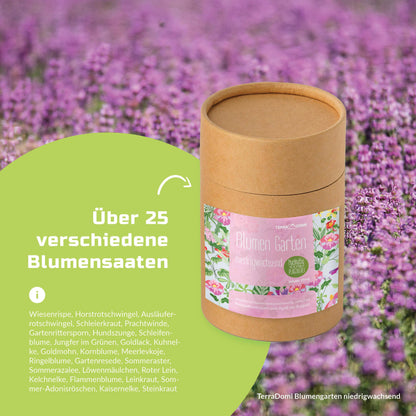 Blumenmischungen_Blumengarten_niedrigwachsend_Grafik_Amazon-Kopie5