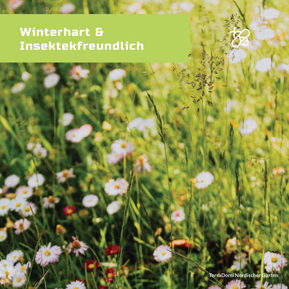 Blumenmischungen_NordischerGarten_Grafik_Amazon4