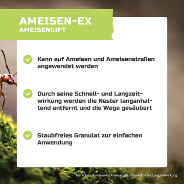 Grafiken_AmeisenEx_NEU2