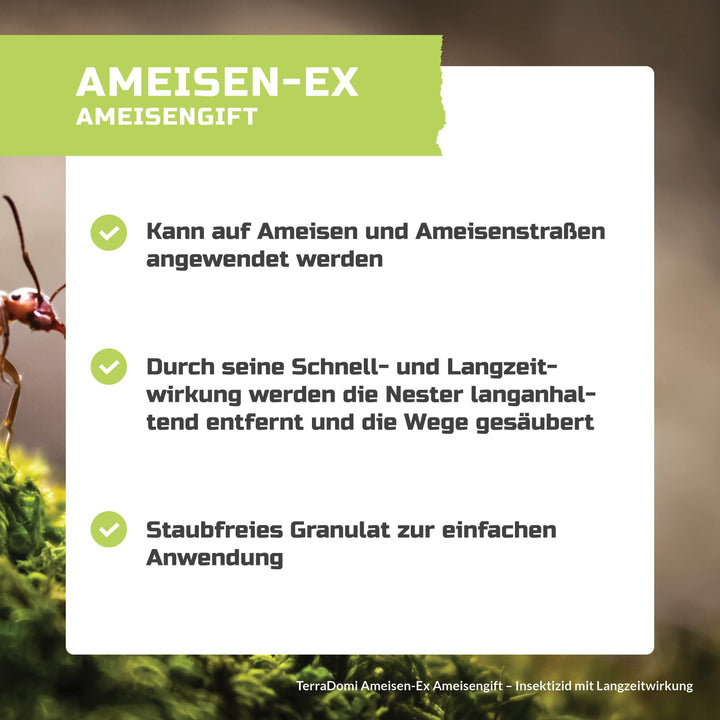 Grafiken_AmeisenEx_NEU2