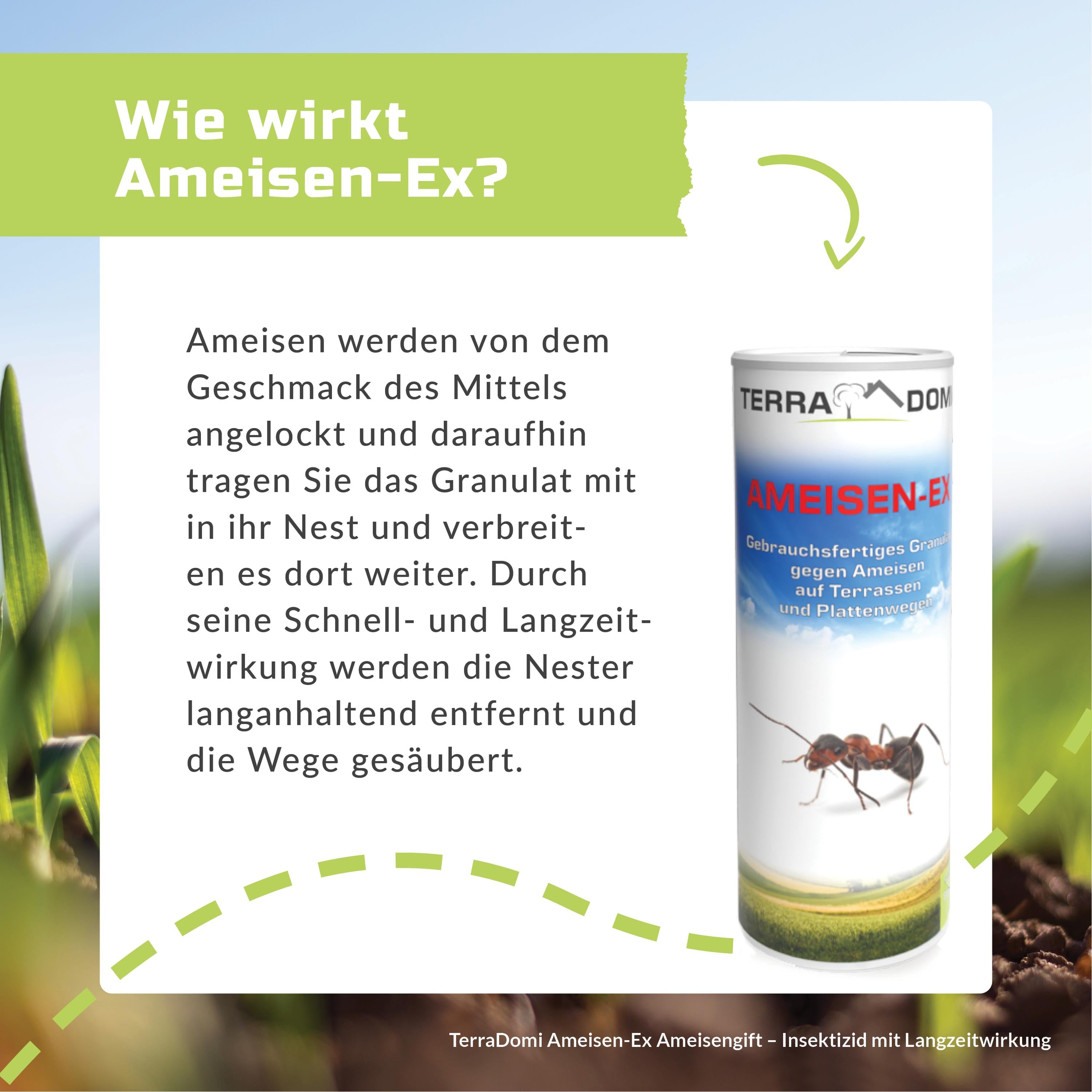 Grafiken_AmeisenEx_NEU3