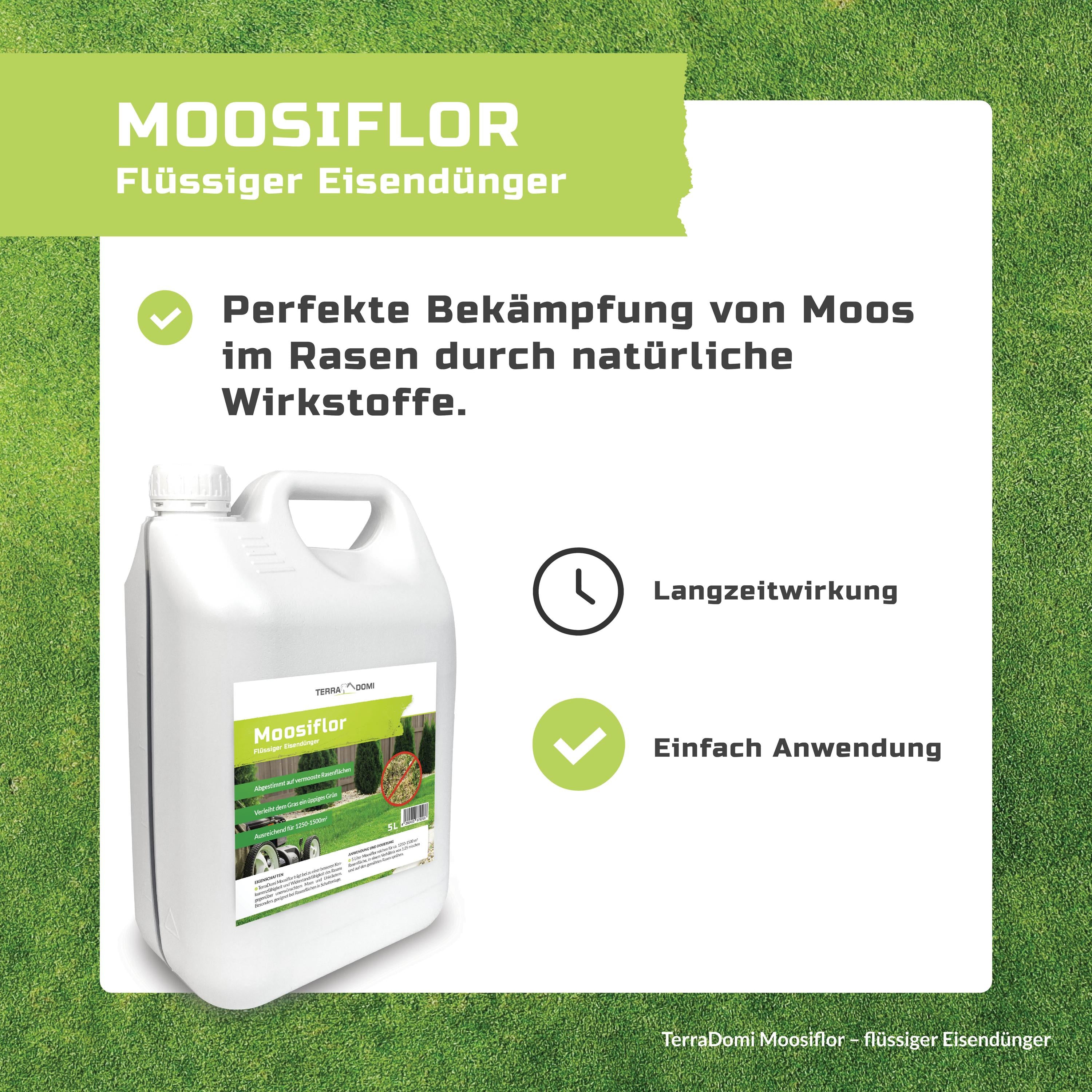 Grafiken_Moosiflor2