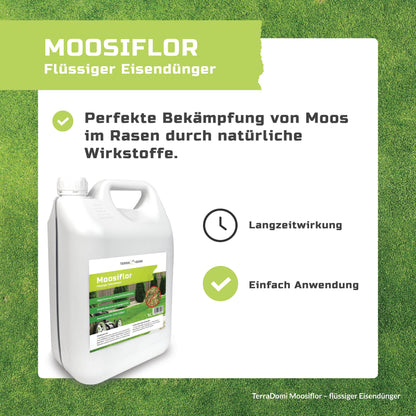 Grafiken_Moosiflor2
