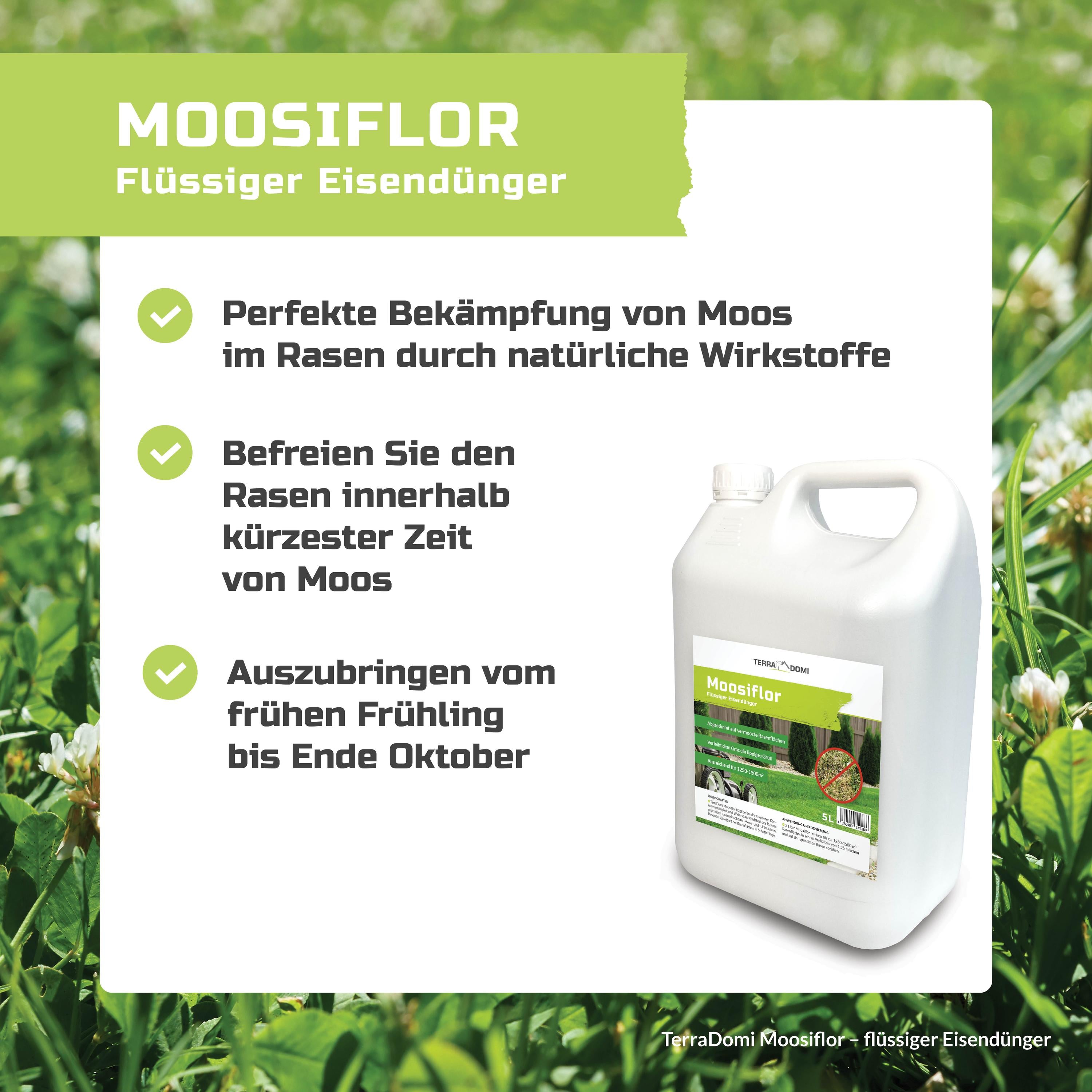 Grafiken_Moosiflor3