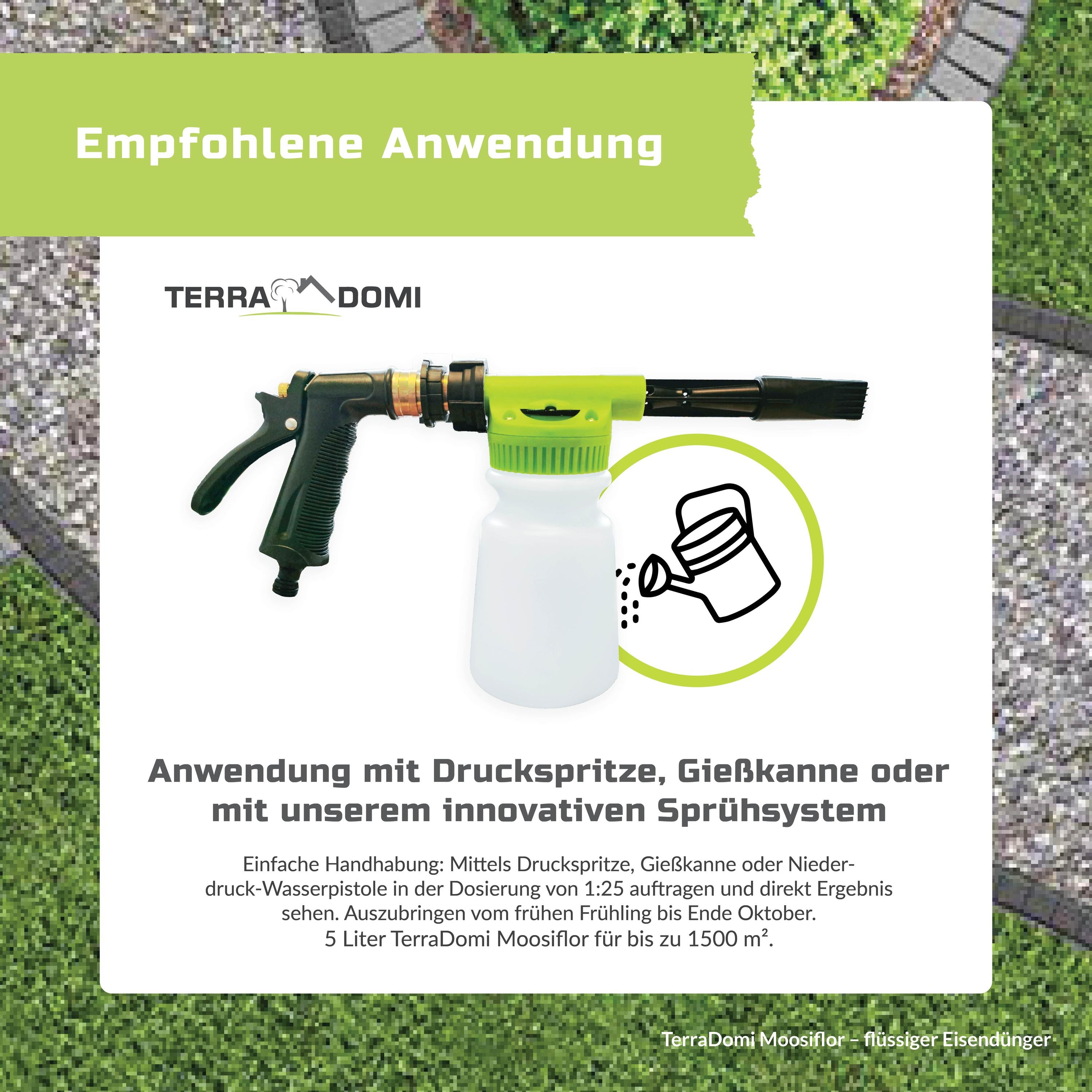 Grafiken_Moosiflor5