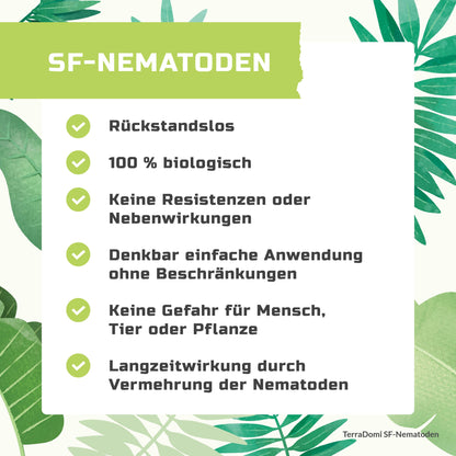 Nematoden_Grafik_Amazon3
